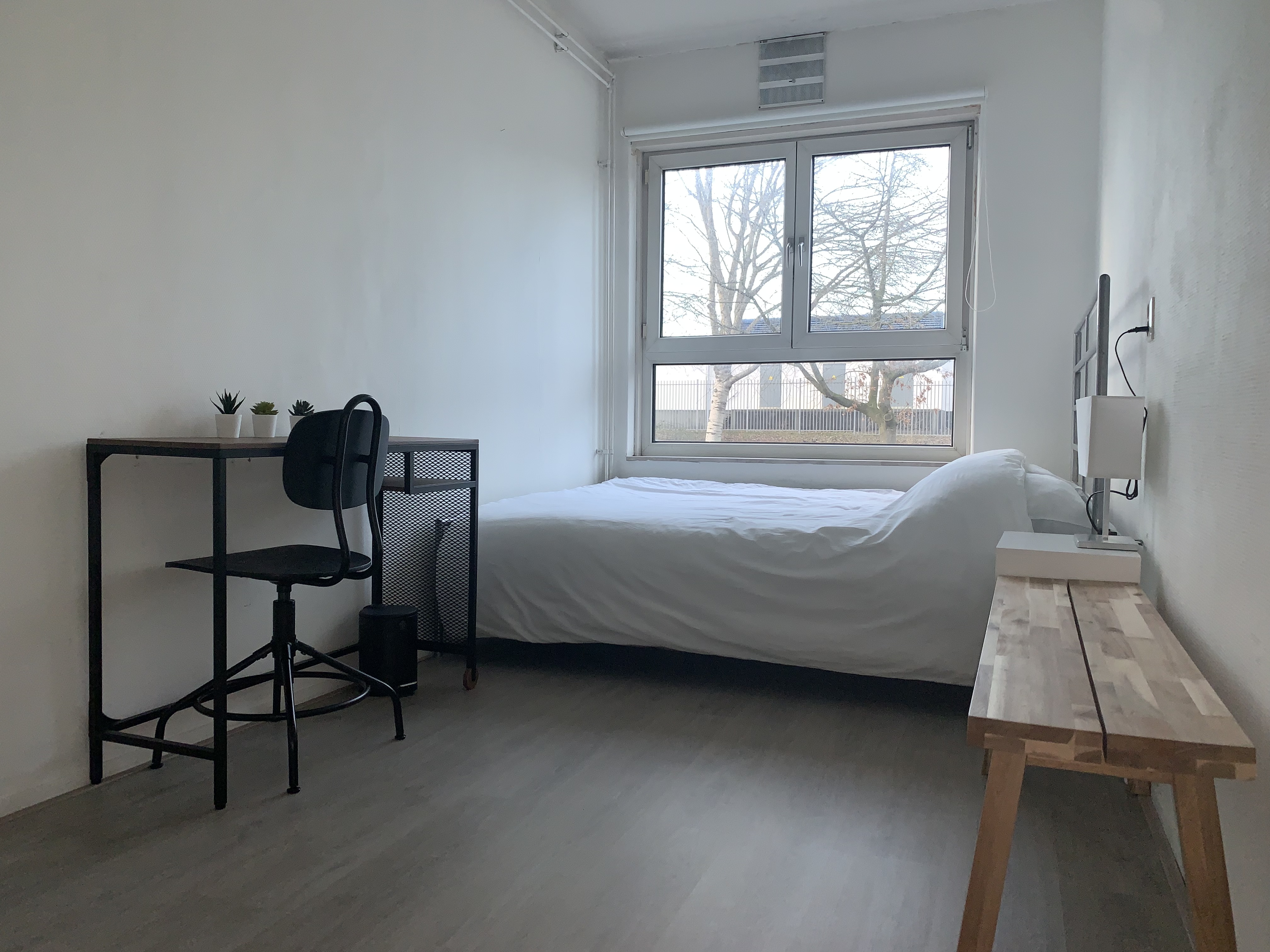 J’s Little Inn [Standard room] — Amsterdam stay