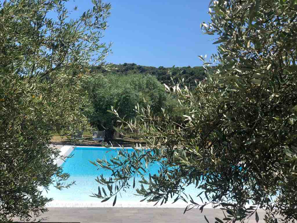 ✩ ARMANDIOLA ✩ between the olive grove and the sea