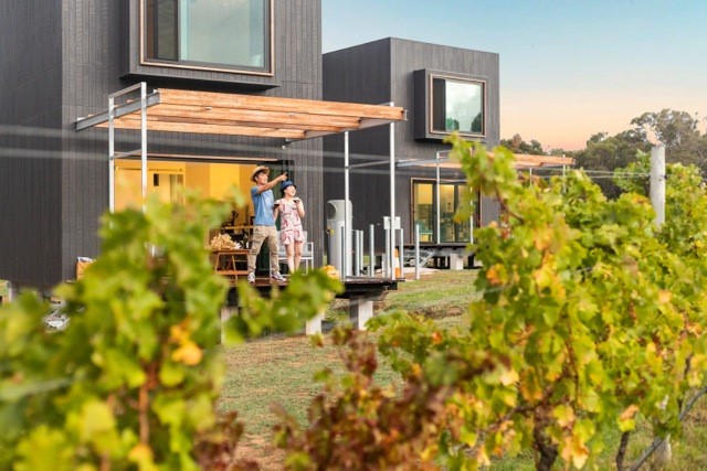 Barn Hives in the vines, with sound of the ocean.