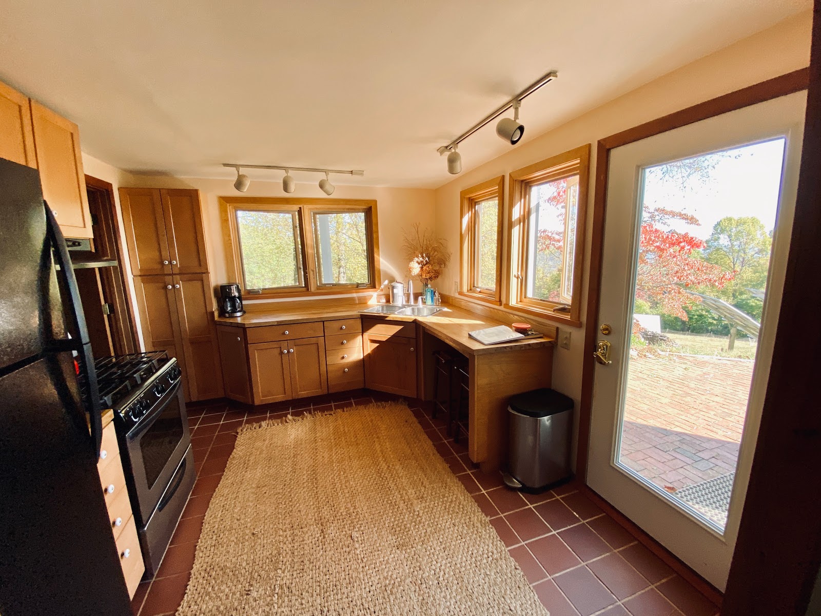 GreeneHouse*VIEWS*HotTub*MTNS*Farm*GOATS Farm stays for Rent in