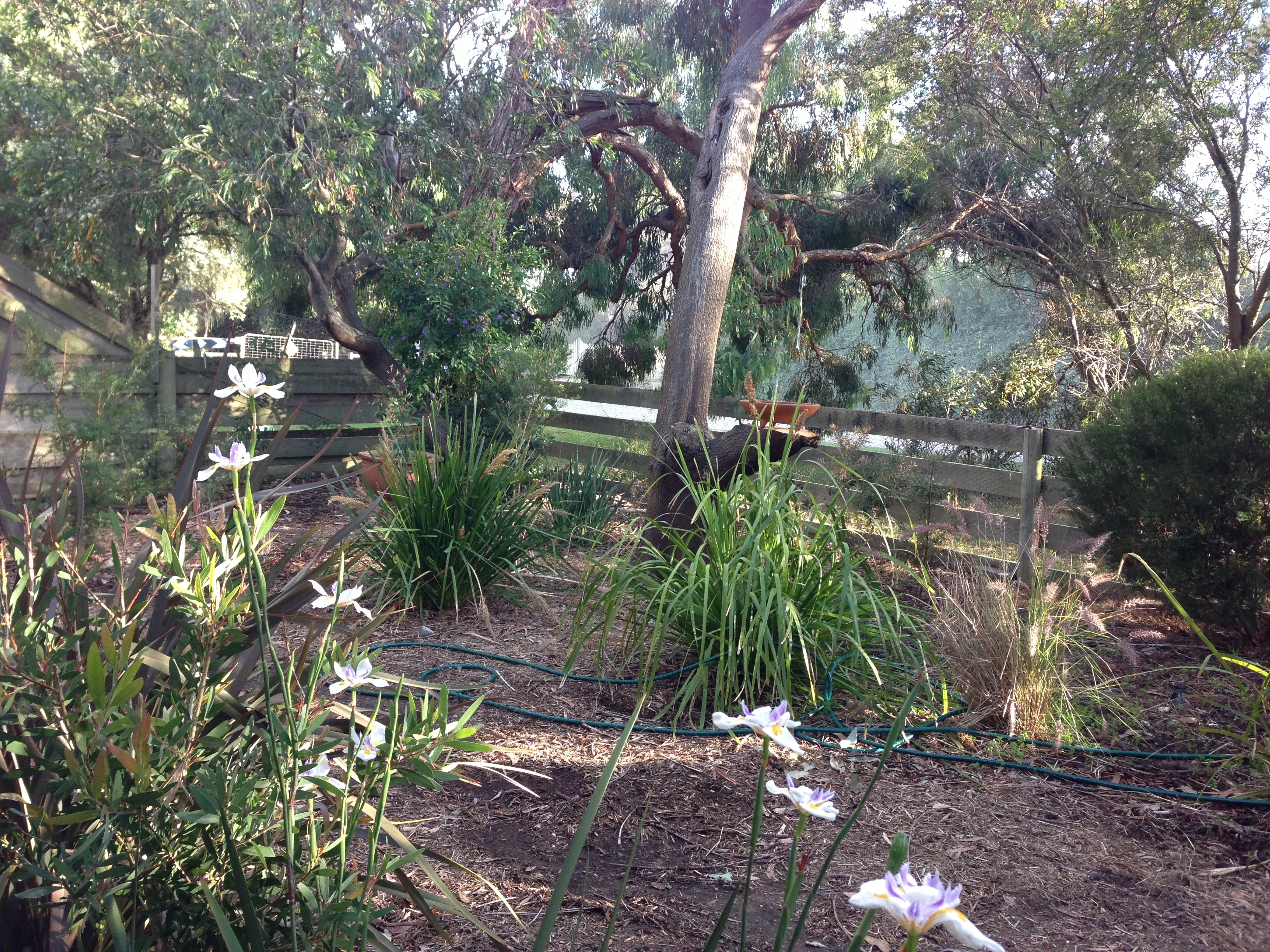 Somers Beach Retreat in Hastings - Somers, Mornington Peninsula