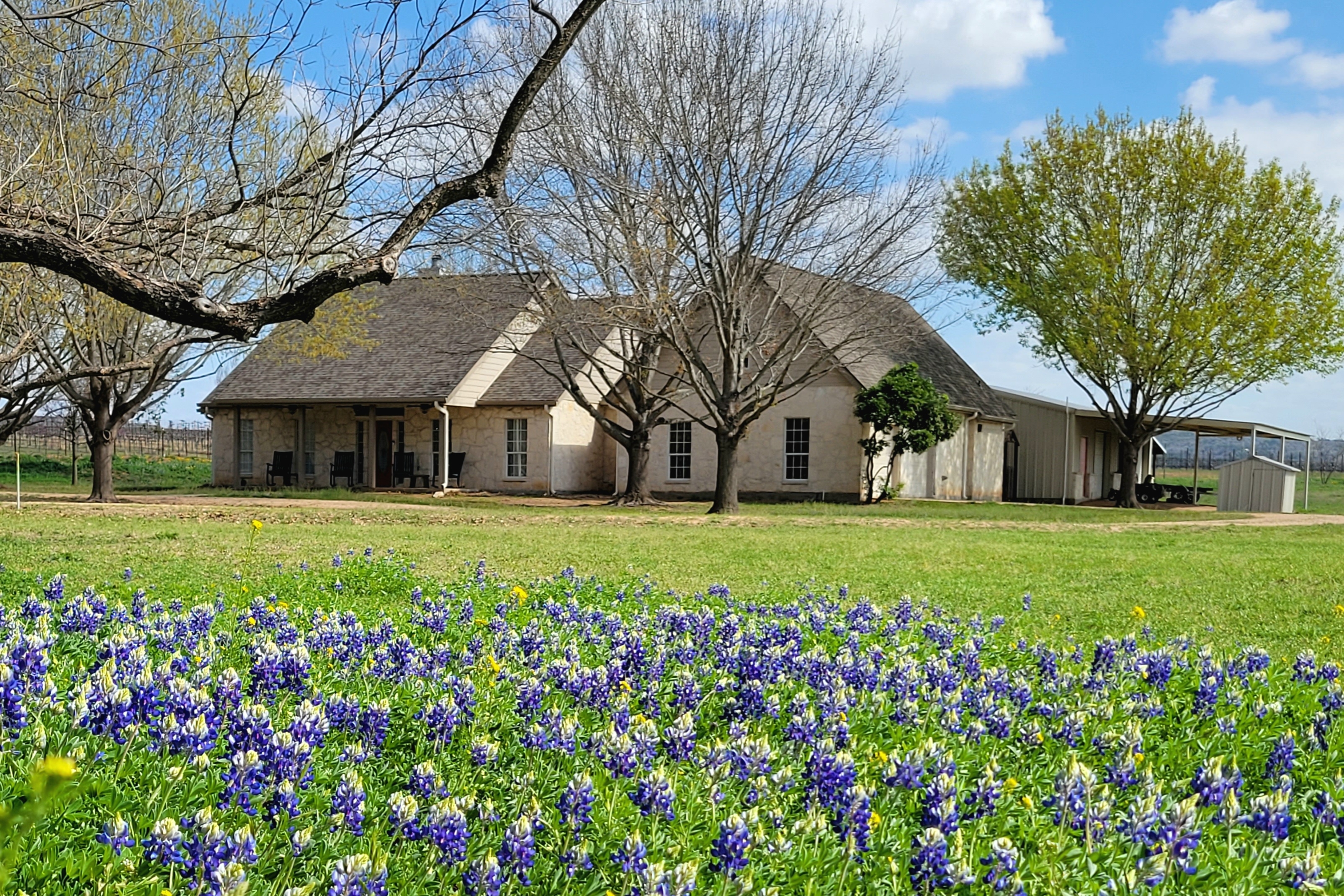 The Vineyard Vista-wildflowers, fire pit, Tx parks