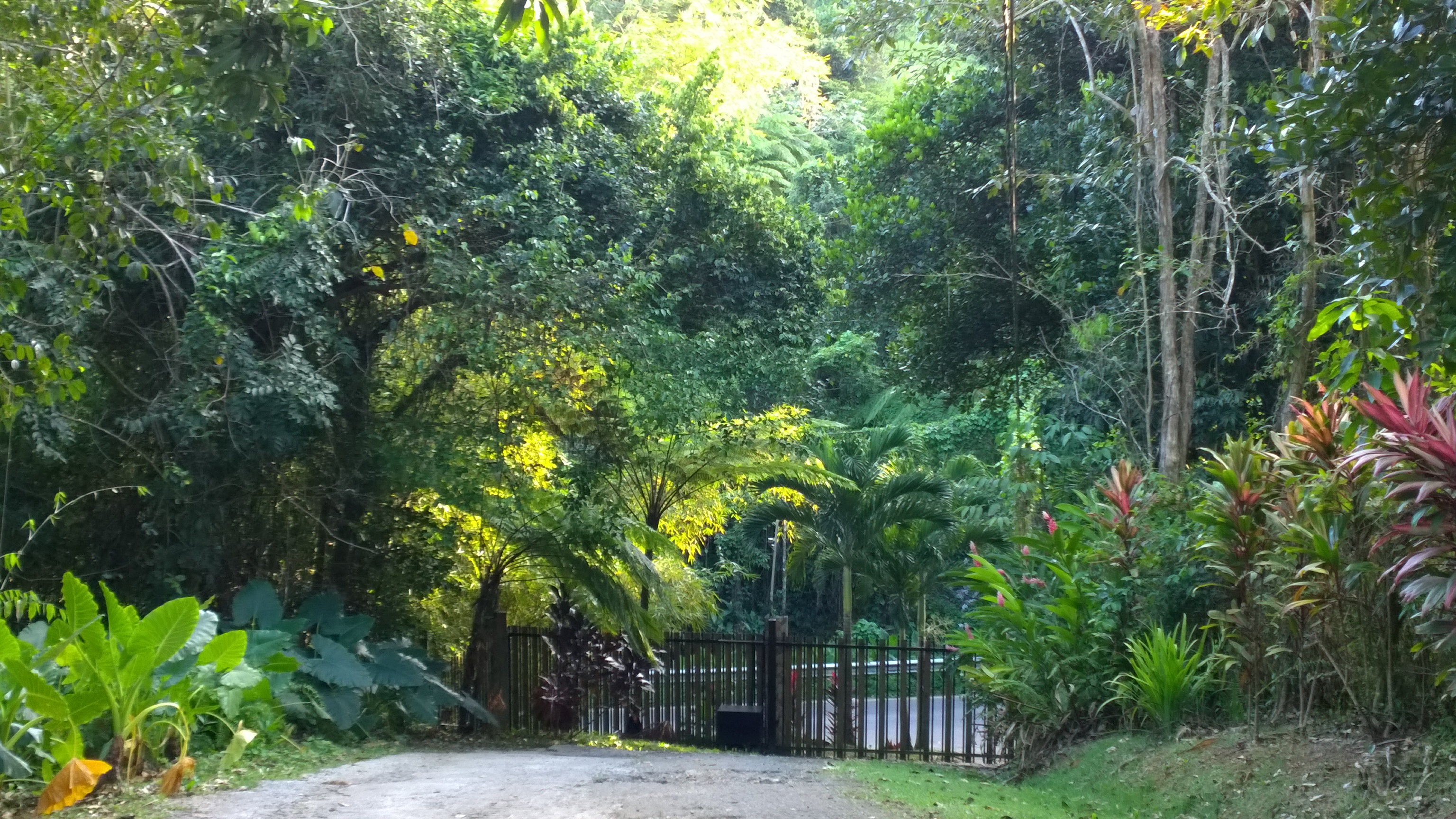 Hacienda Torres Paradise of Nature - Villa Mango
