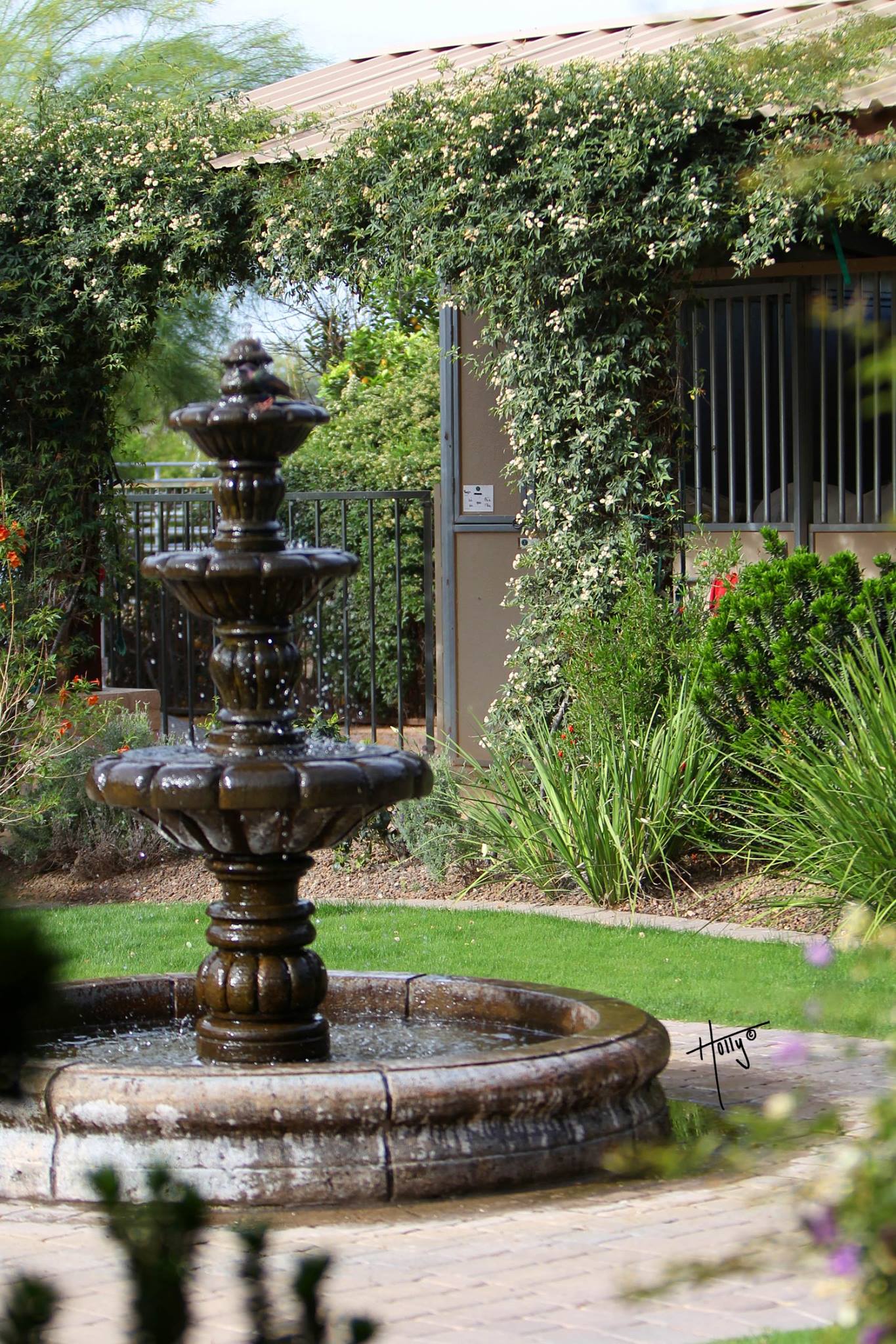 imagine backyard living scottsdale az on Elegant Home In The Heart Of Scottsdale Enjoy Houses For Rent In Scottsdale Arizona United States