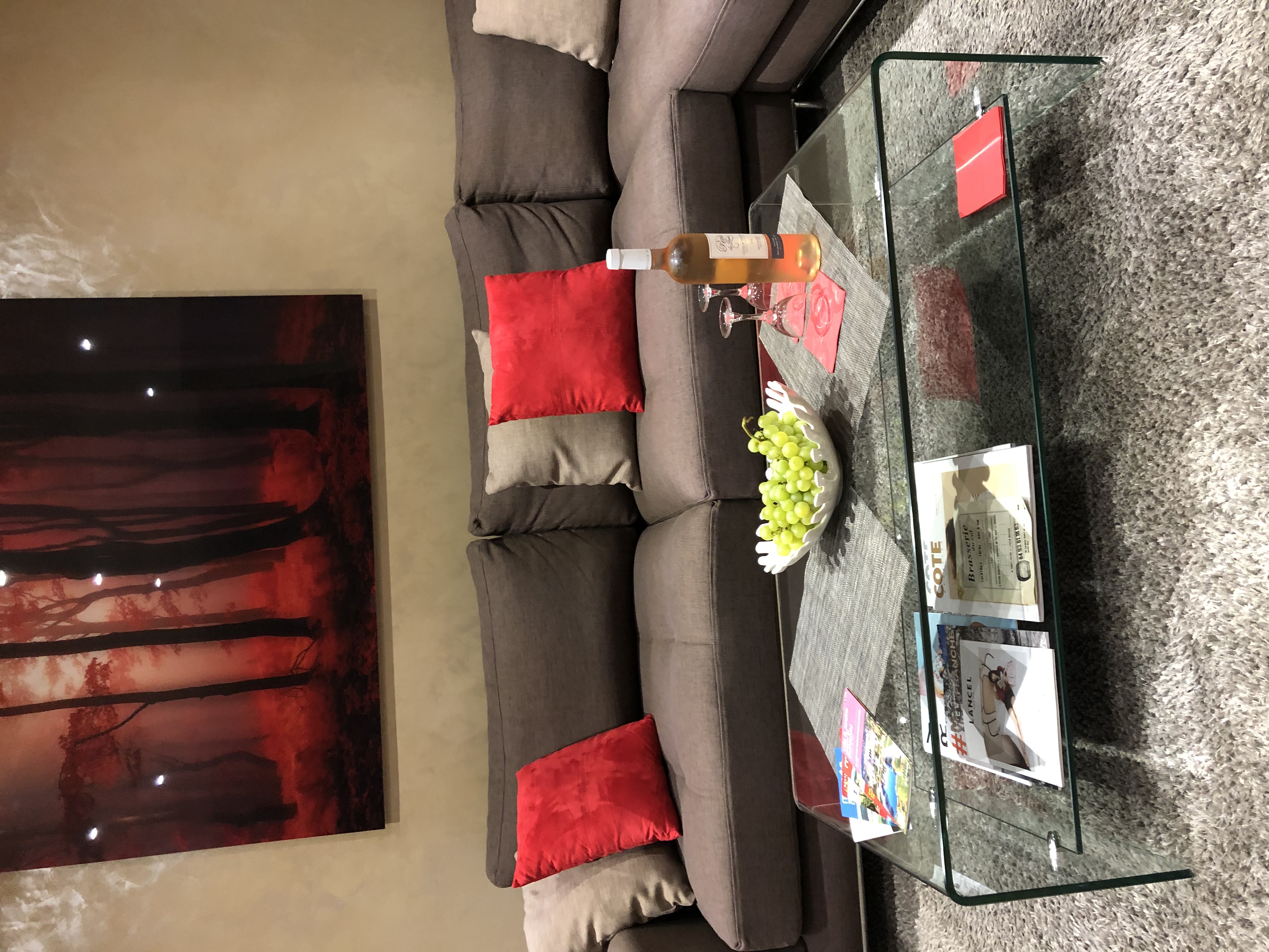 Charming apartment between Nice and Monaco