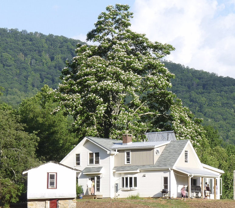 Whistlepig Farm7acre20min to AvlCreekDogs OK Houses for Rent in