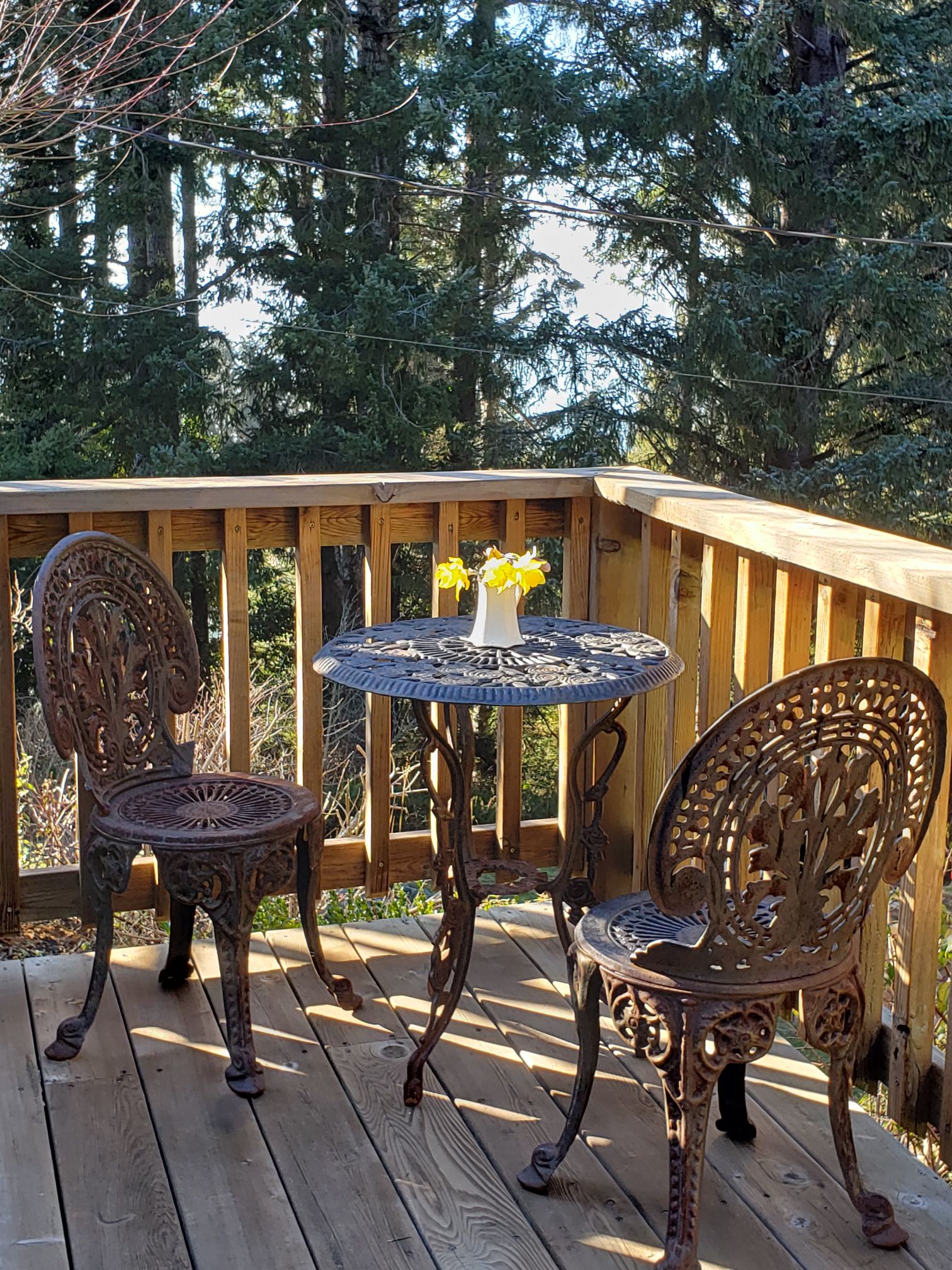 The Garden Cottage Houses for Rent in Curry County, Oregon, United