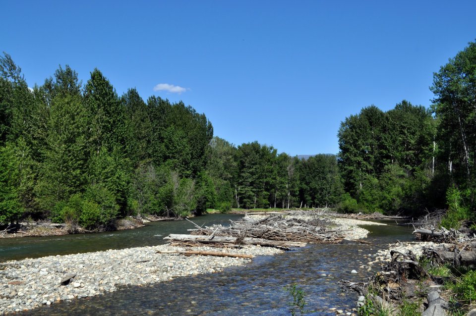 Lovely Log Cabin on the River and MVSTA Trail Cabins for Rent in