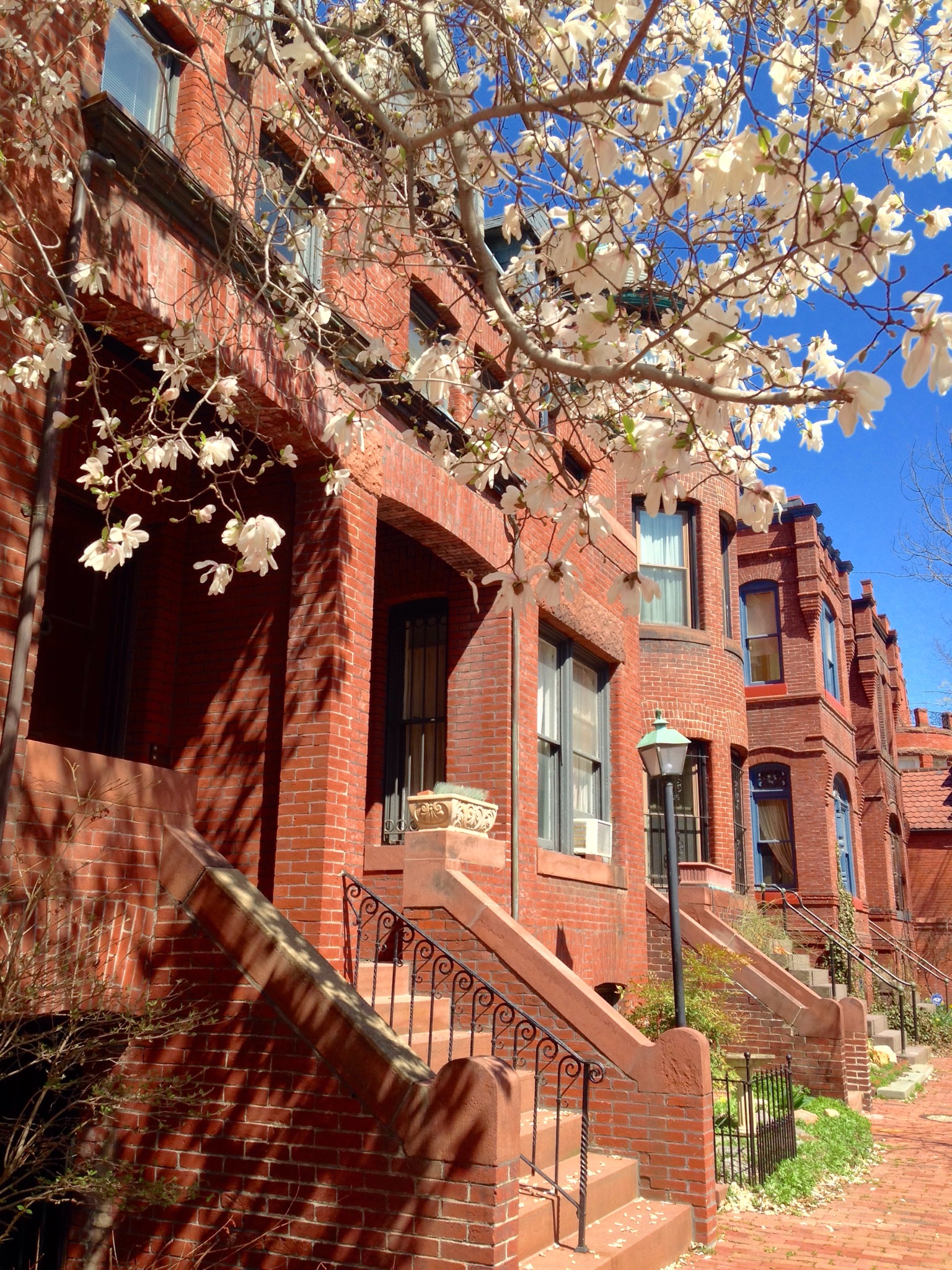 Dupont 1BR. Spacious & Stylish. in Dupont Circle, Connecticut Avenue/K Street, Washington Dc