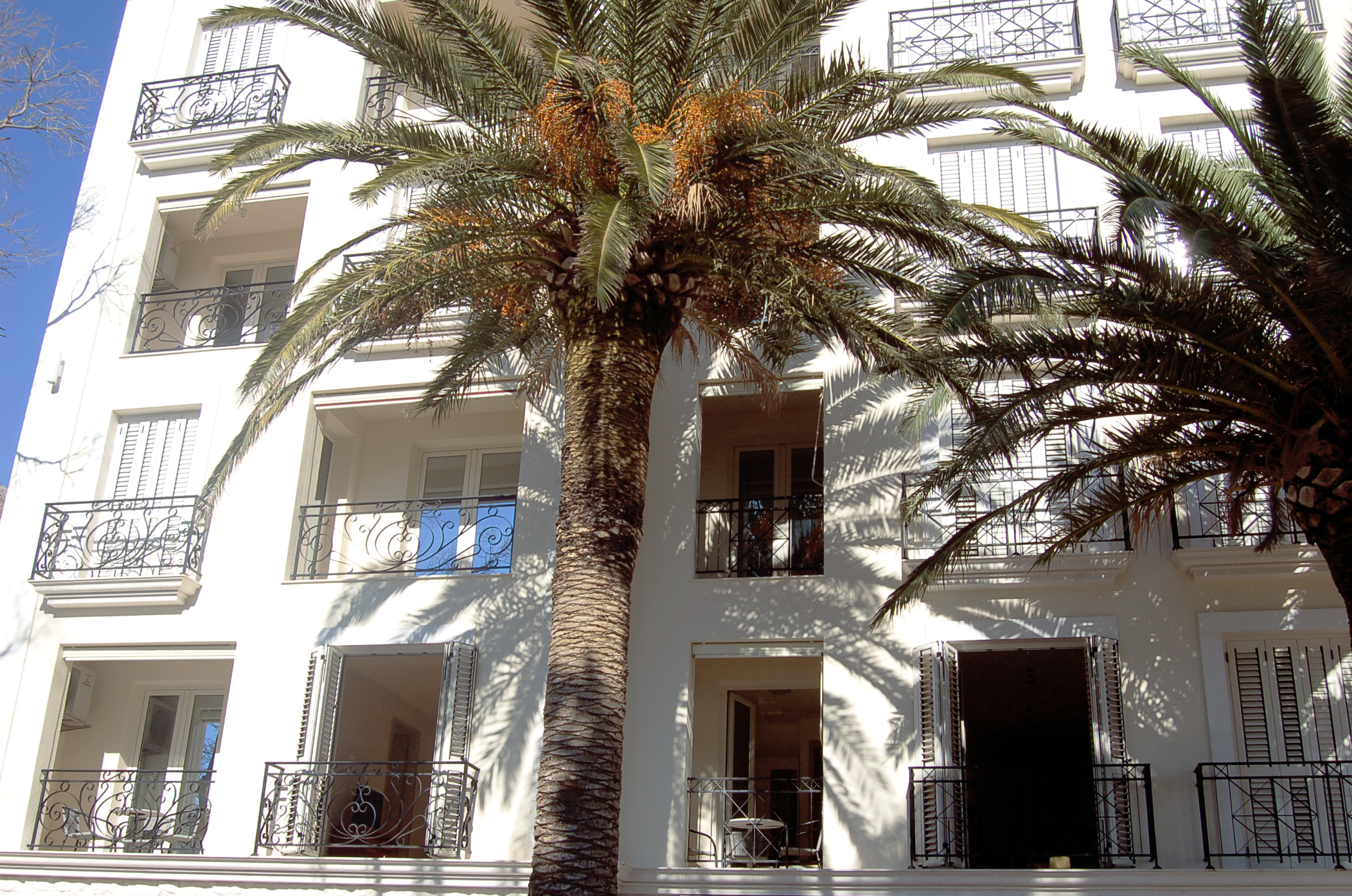 Vasiliki Seaside Apartments