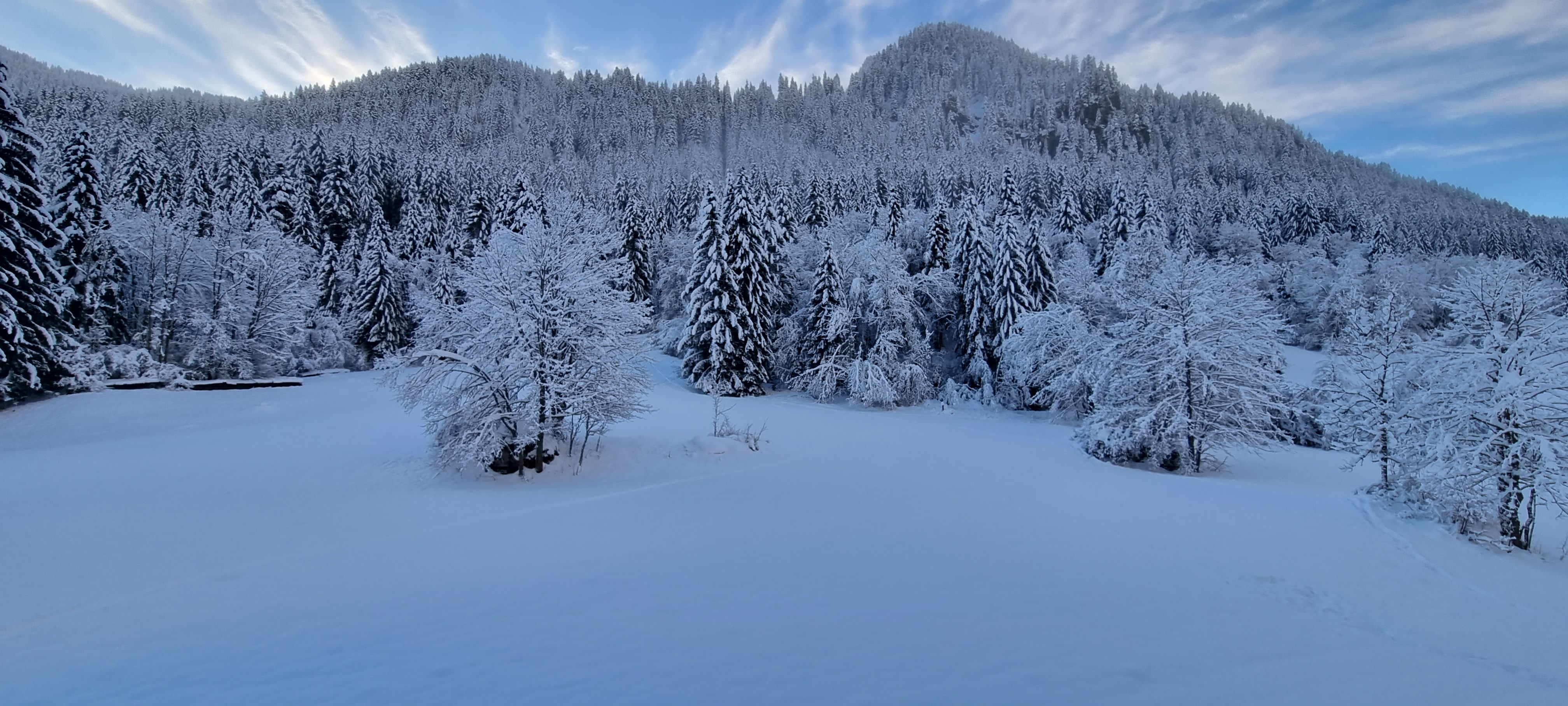 Refurbished apartment F2 Linga