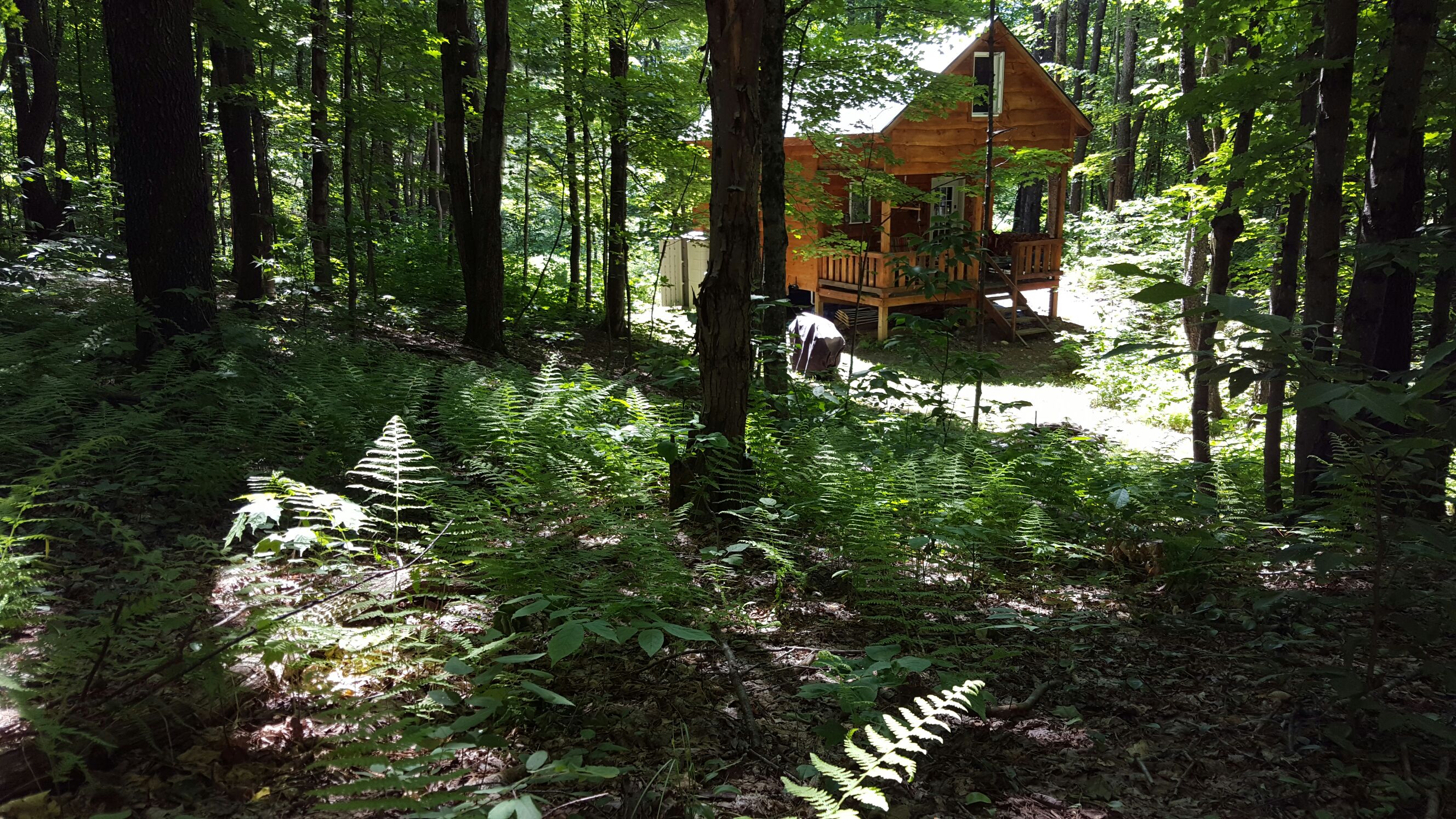 Getaway cabin- wooded, restful, nearby activities.