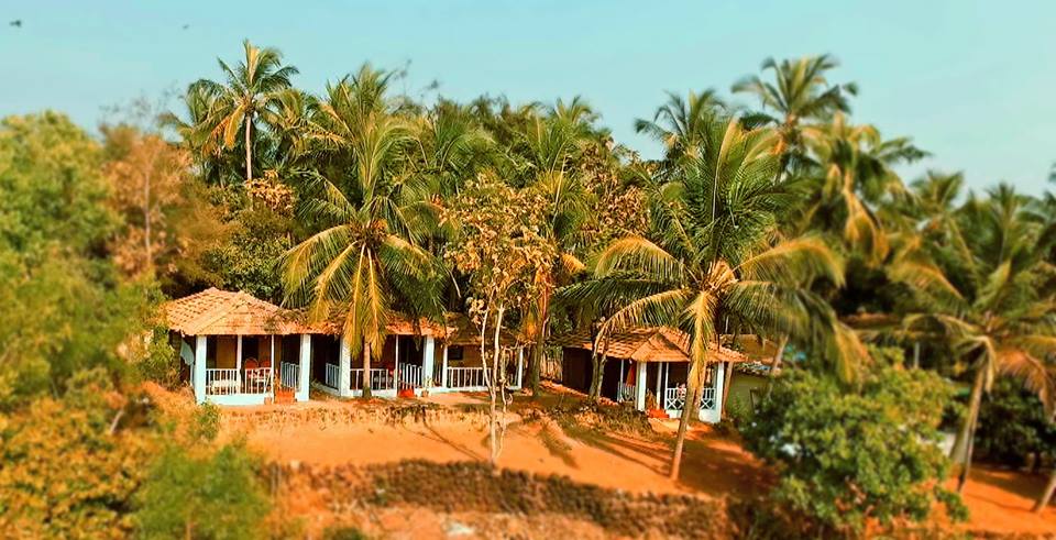 Agonda dream view