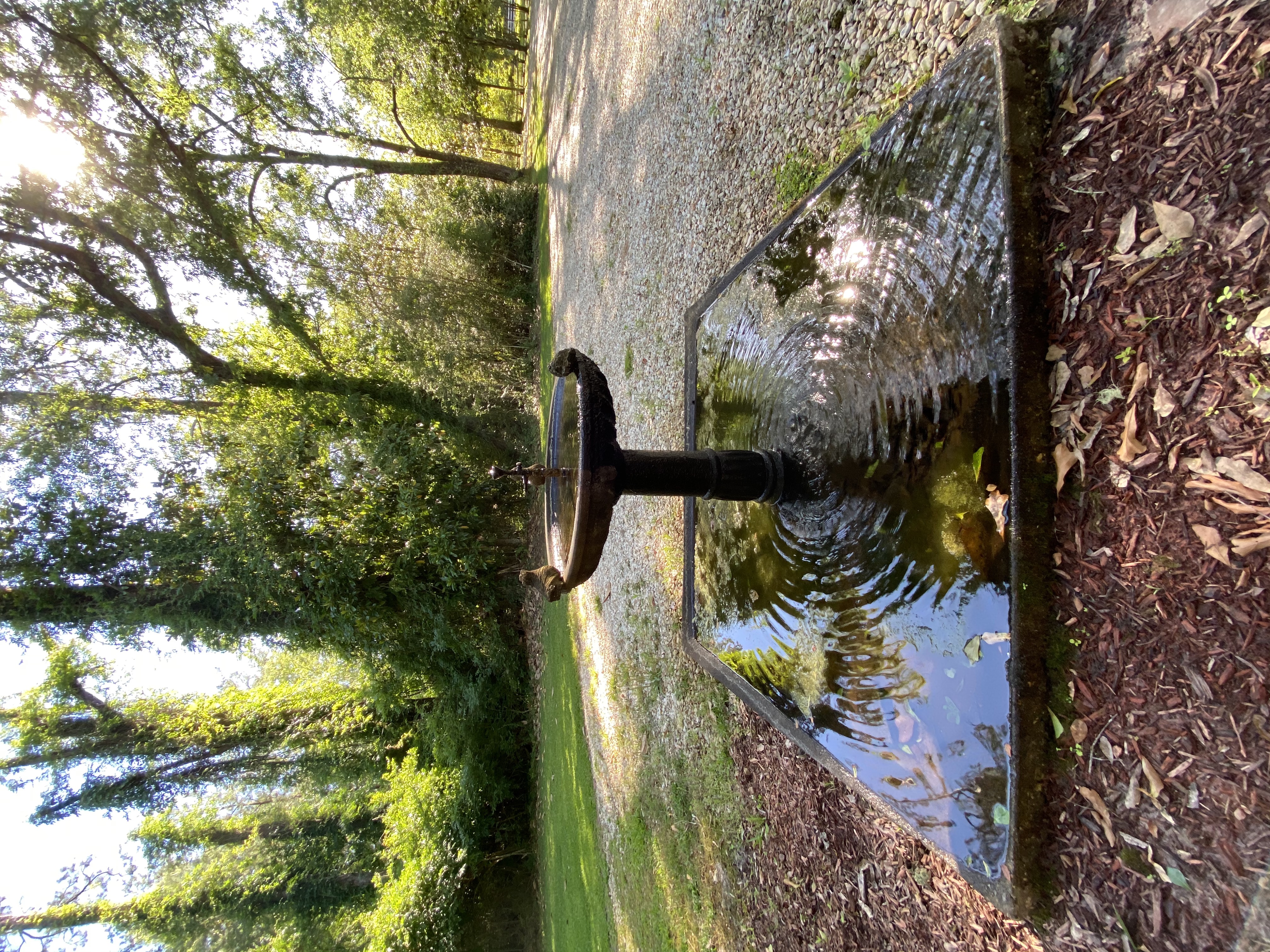 outdoor center covington la on Sleepy Lagoon Cottage Just Min From Downtown Houses For Rent In Covington Louisiana United States