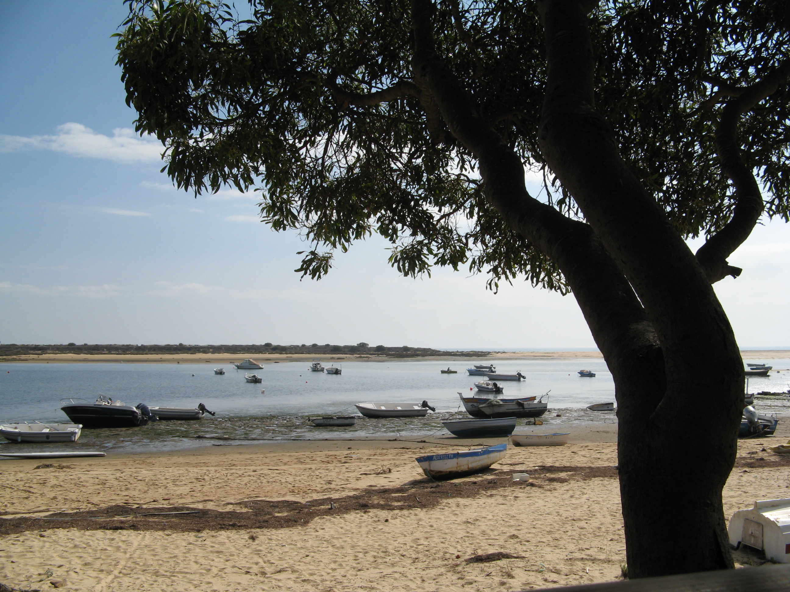 Beach Apartment in Quiet Location