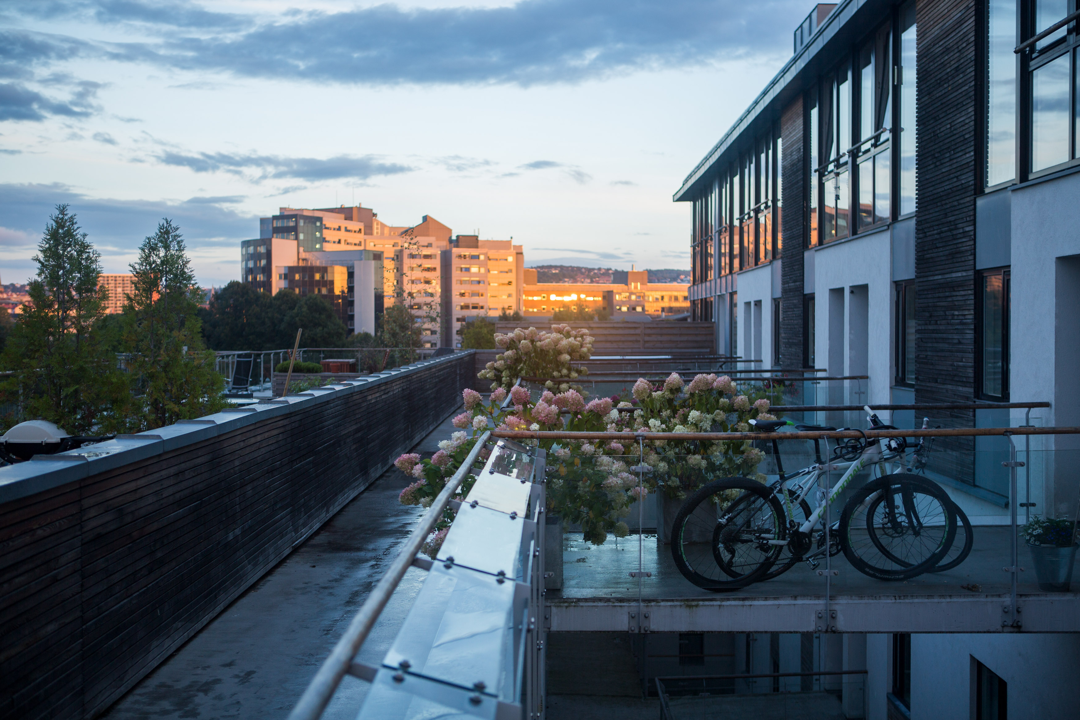 Supercentral flat with a roof top in Grünerløkka, Oslo