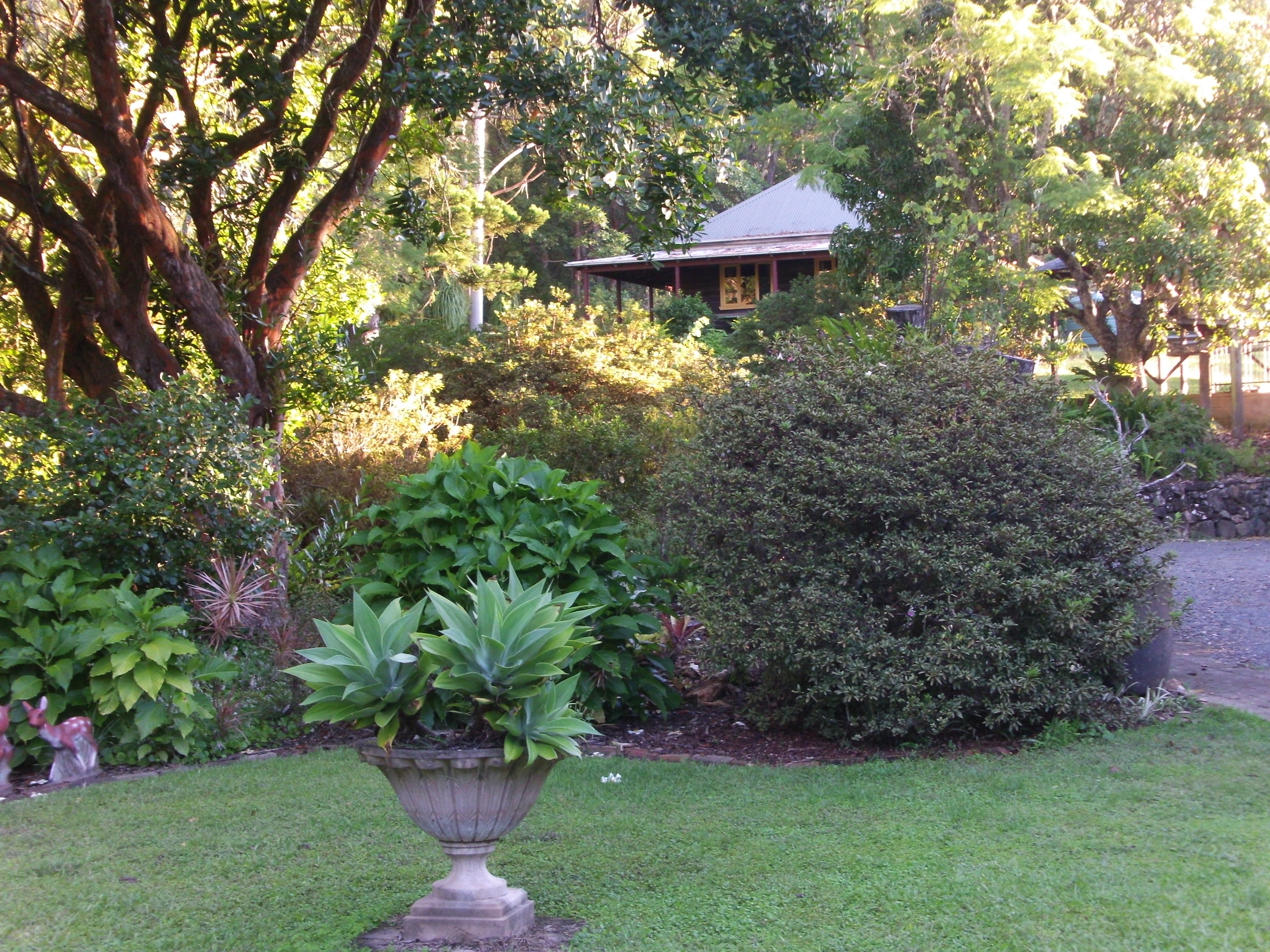 Caminy Cottage -1Km from village