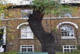 Walk to 8 events - Greenwich room in Greenwich, London