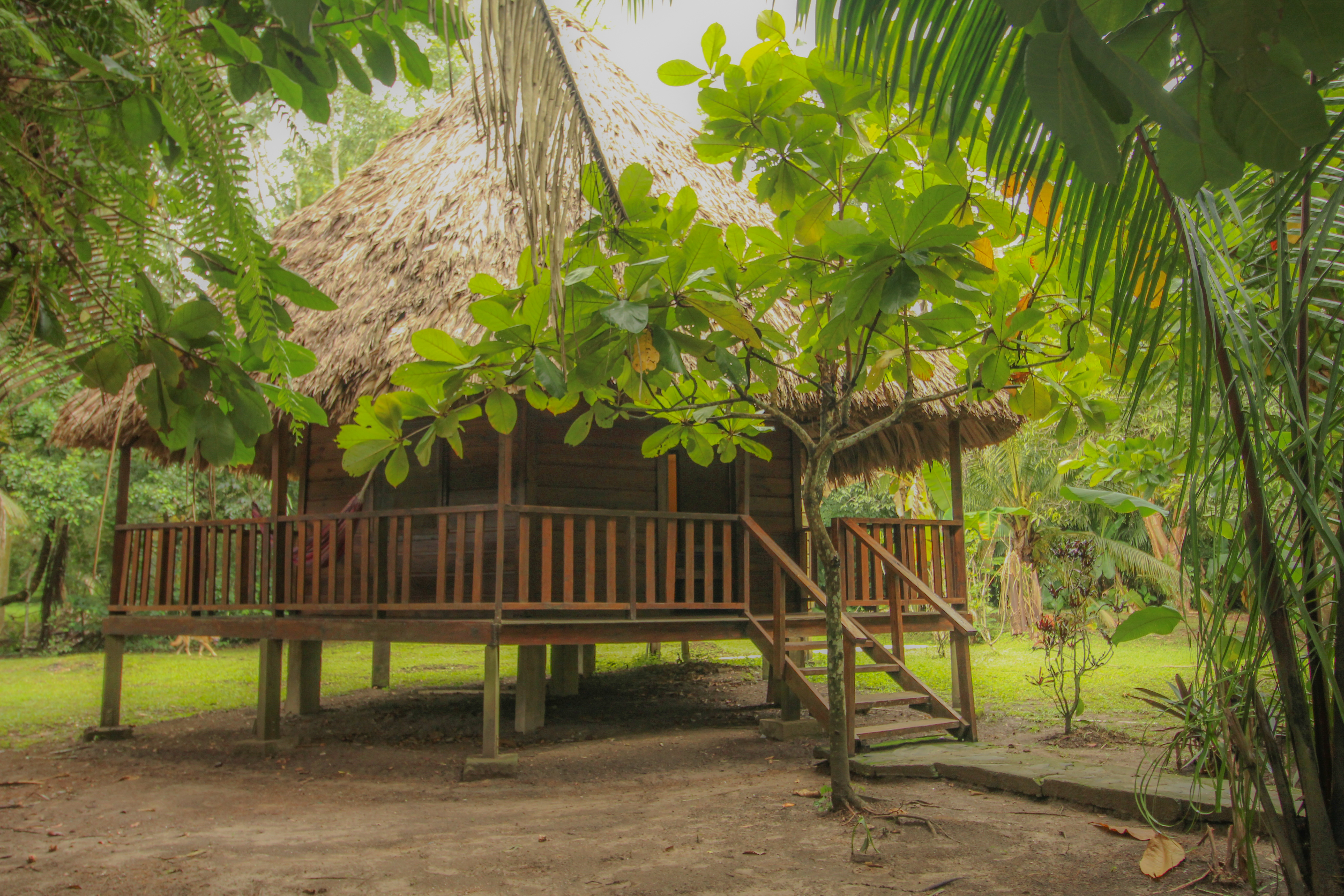 Cohune Palms River Cabanas: The Iguana Cabana in Cayo, Belize