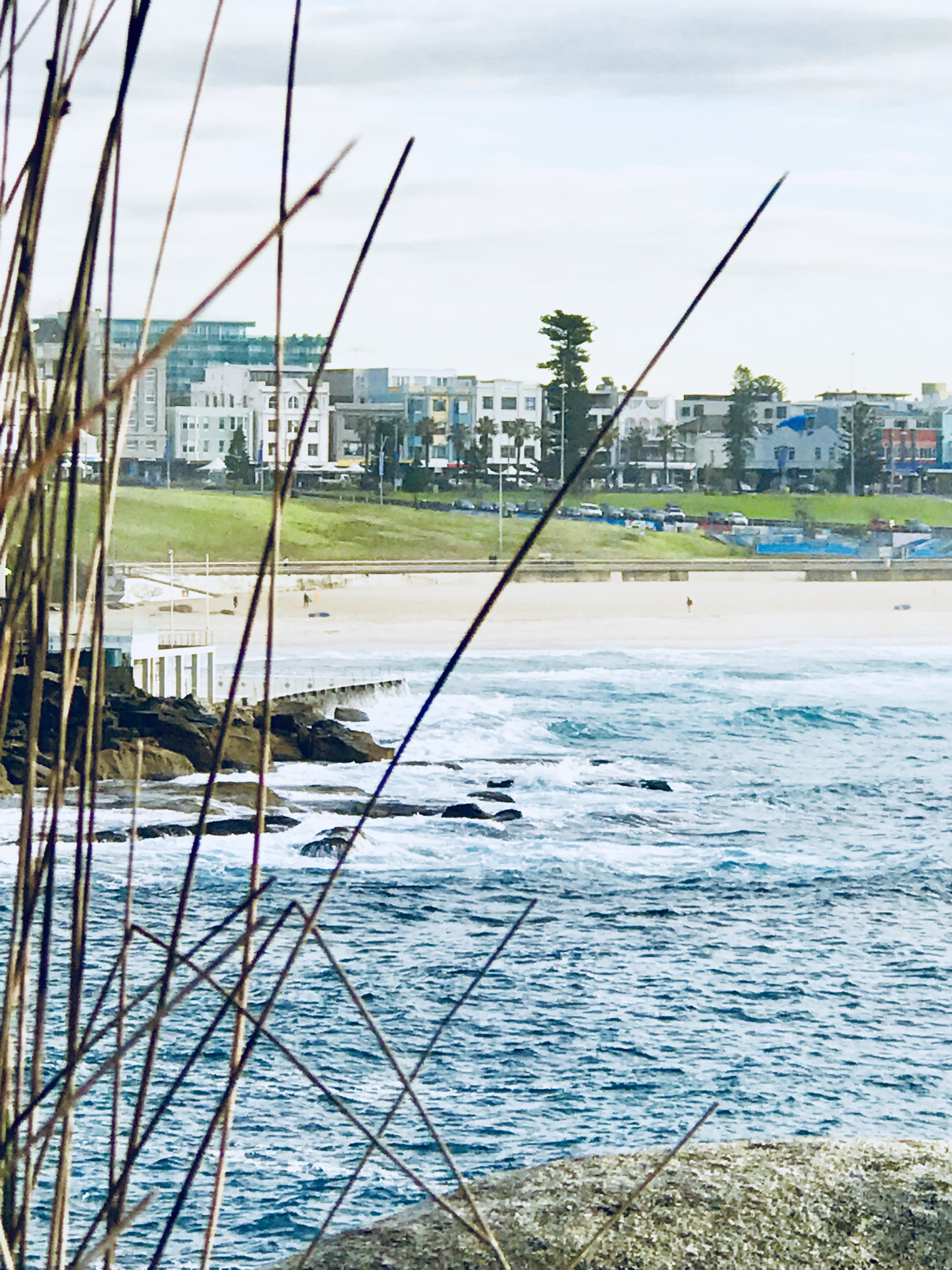 Gorgeous Coastal Beach Pad-5 mins Walk Bondi Beach
