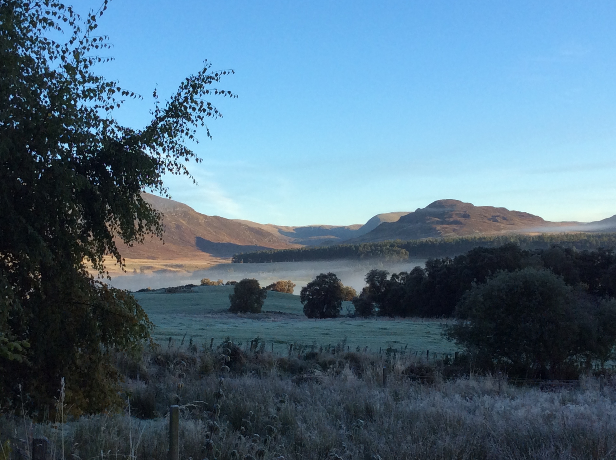 Catlodge Steading, Laggan, 1 bed cottage Houses for Rent in Catlodge