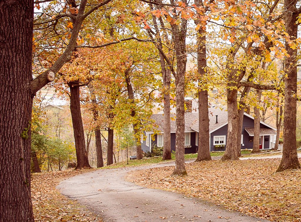 Beautiful Branson Home! Perfect Downtown Location! Houses for Rent in