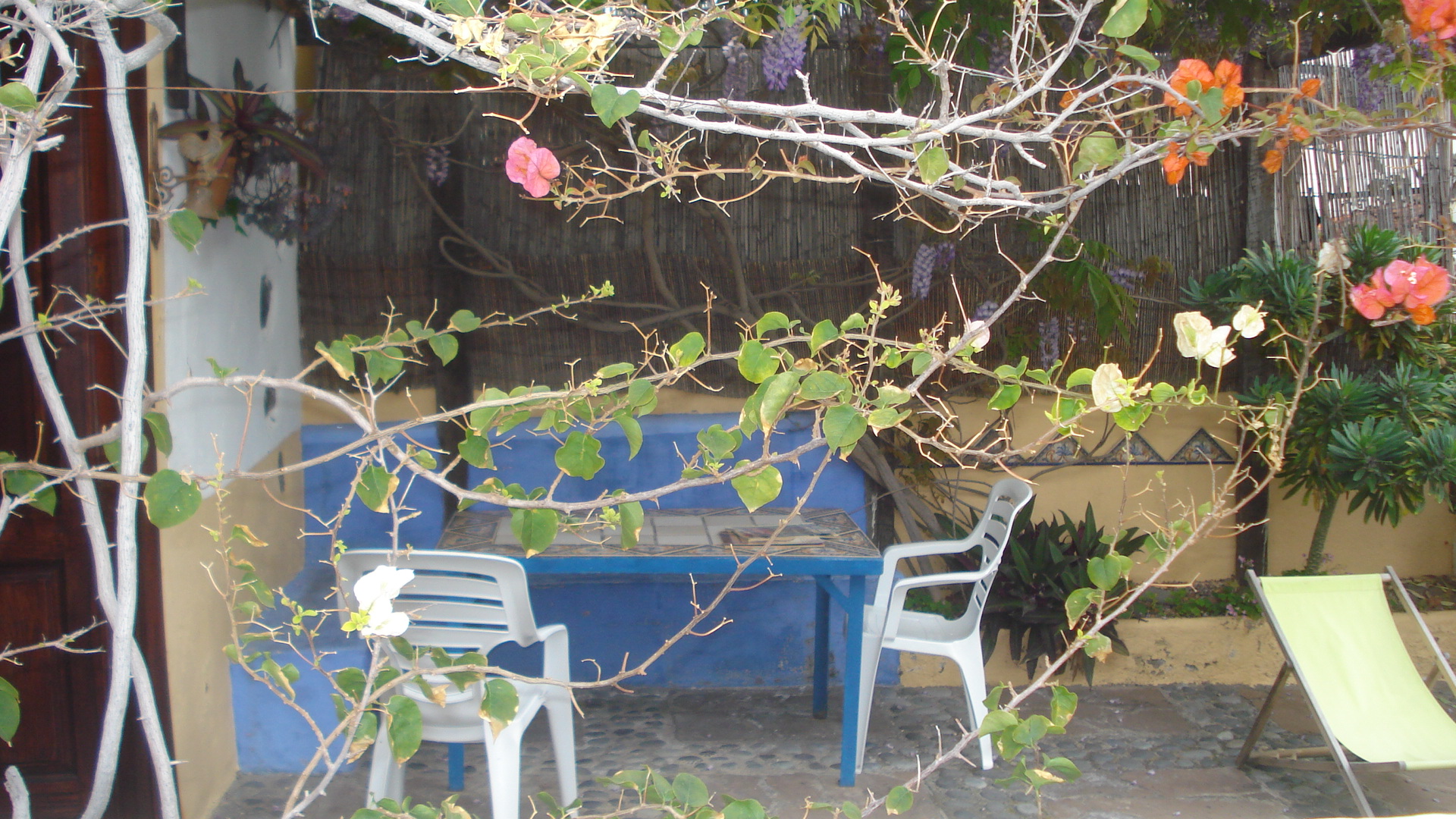 La Casita de Nedi