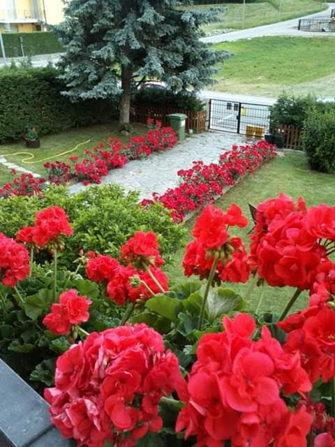 Chez Margot - House in the countryside in Chatillon (AO)