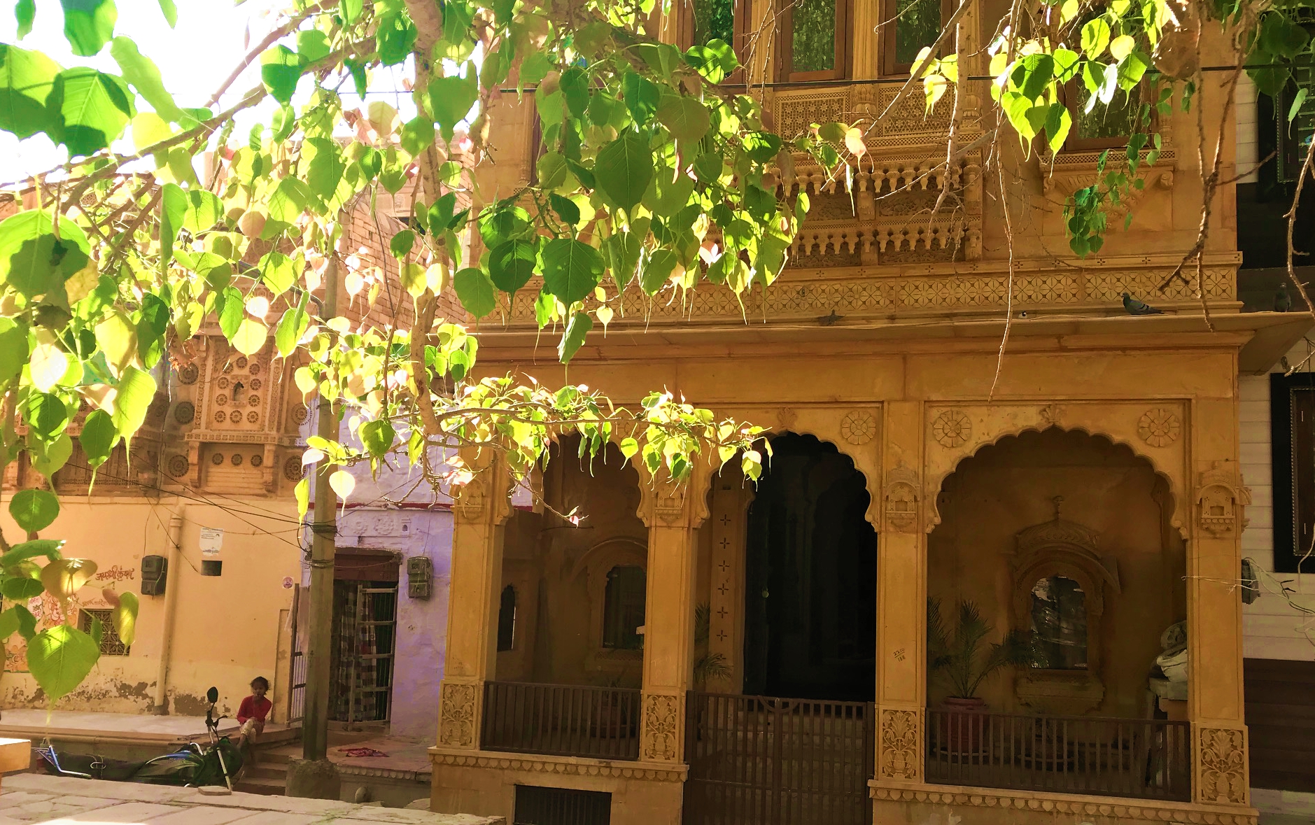 Heritage Hamari Haveli