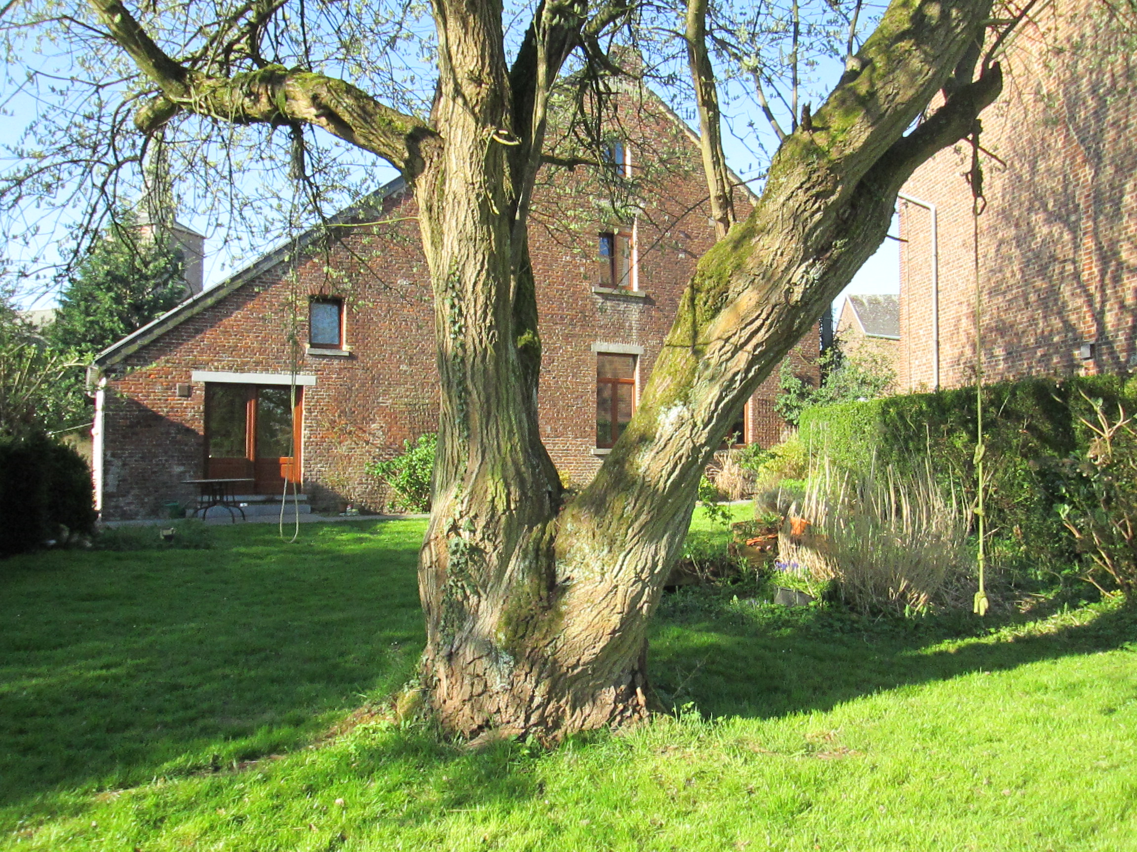 Maison au coeur du village - Houses for Rent in Sombreffe, Région 
