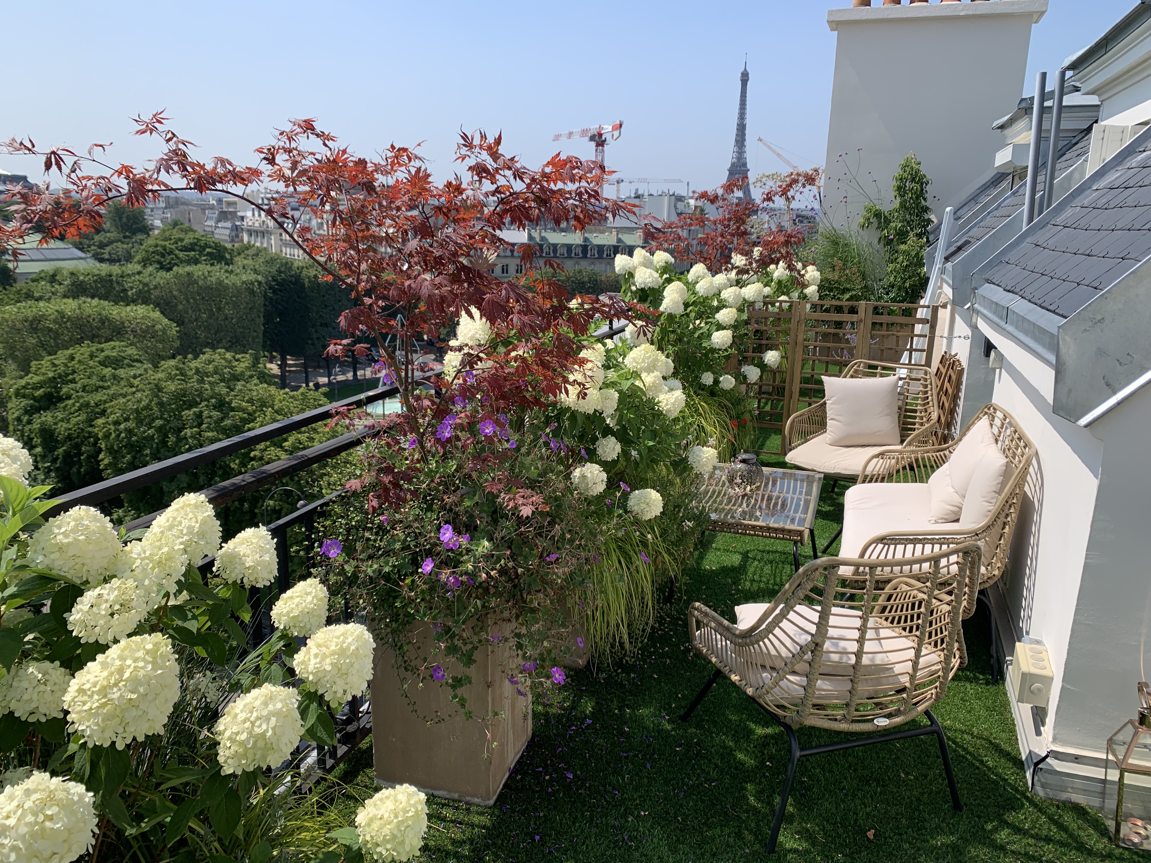 Rooftop Champs Elysées with unbelievable view