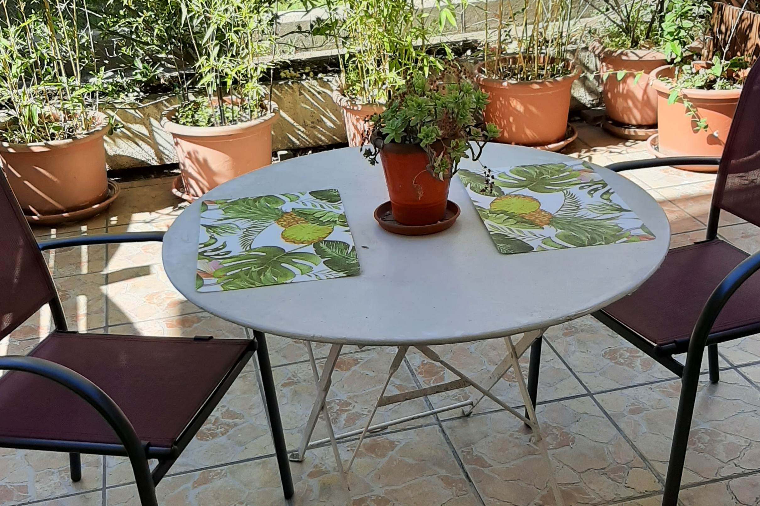 Pleasant studio with 2-star terrace