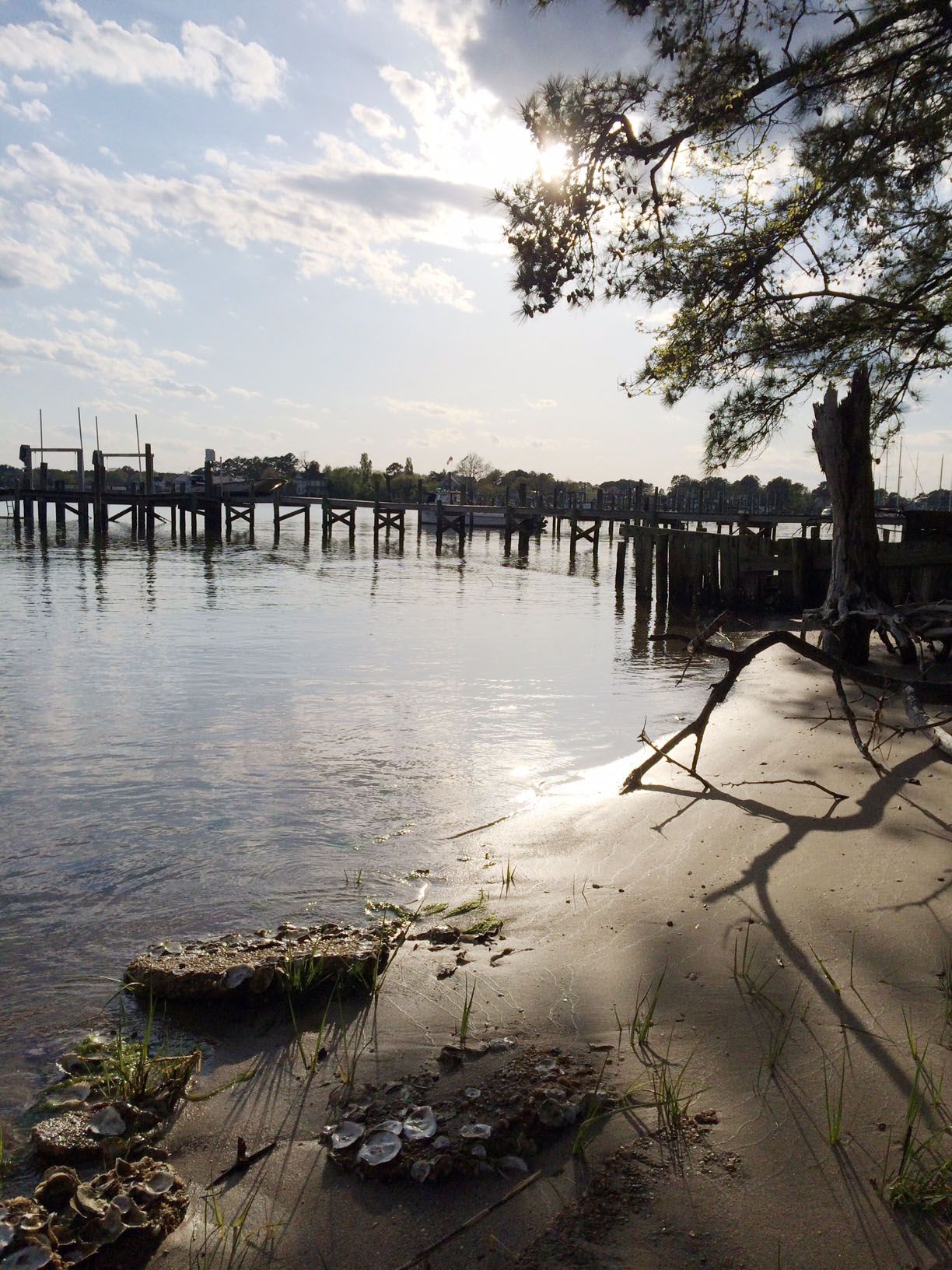 The Little House at Waveland Houses for Rent in Deltaville, Virginia, United States Airbnb