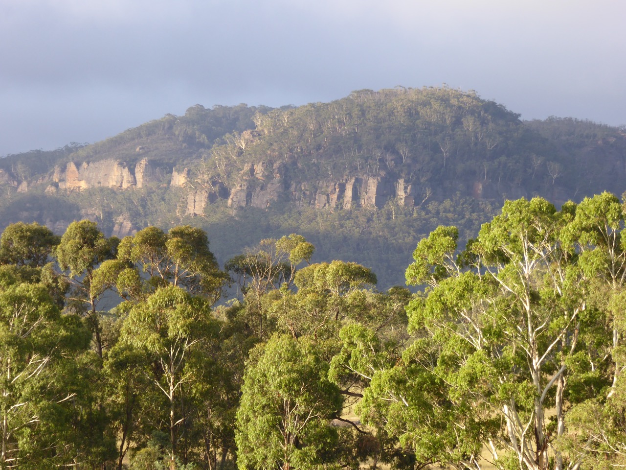 Hereford House of Hartley Vale Houses for Rent in Hartley Vale, New South Wales, Australia