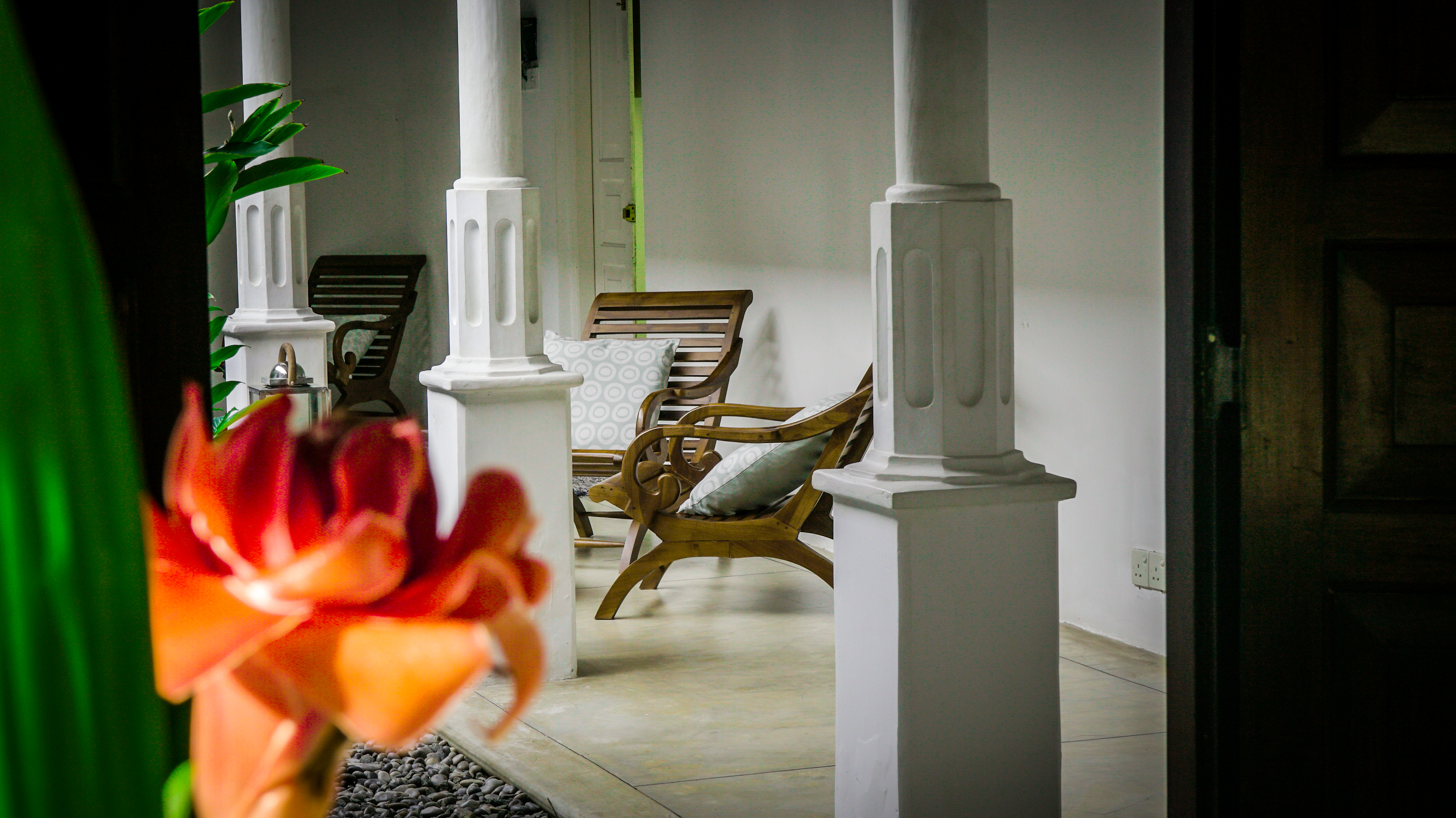 Antique villa w lovely garden, beach 1km, sleeps 6