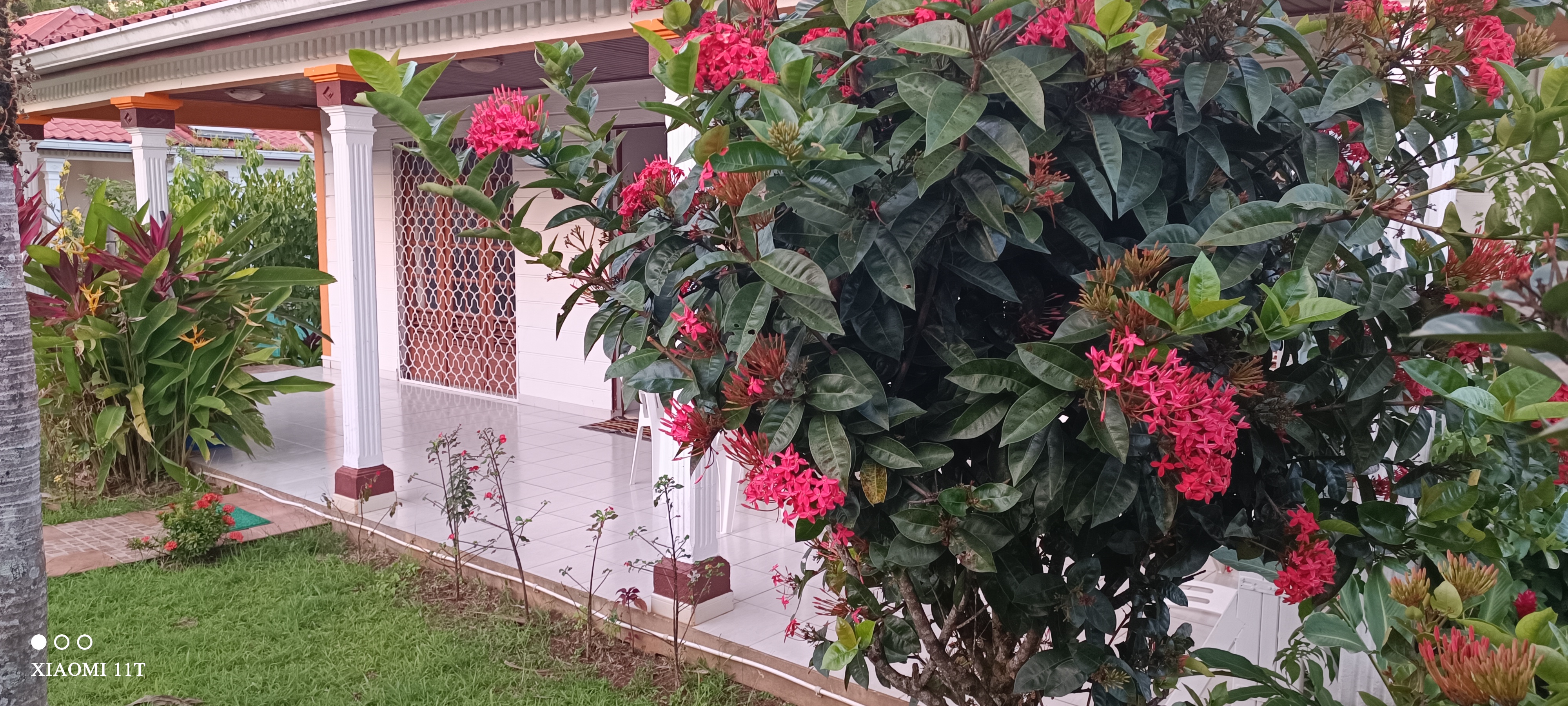 Kazasol from greenery to the beaches of the great south