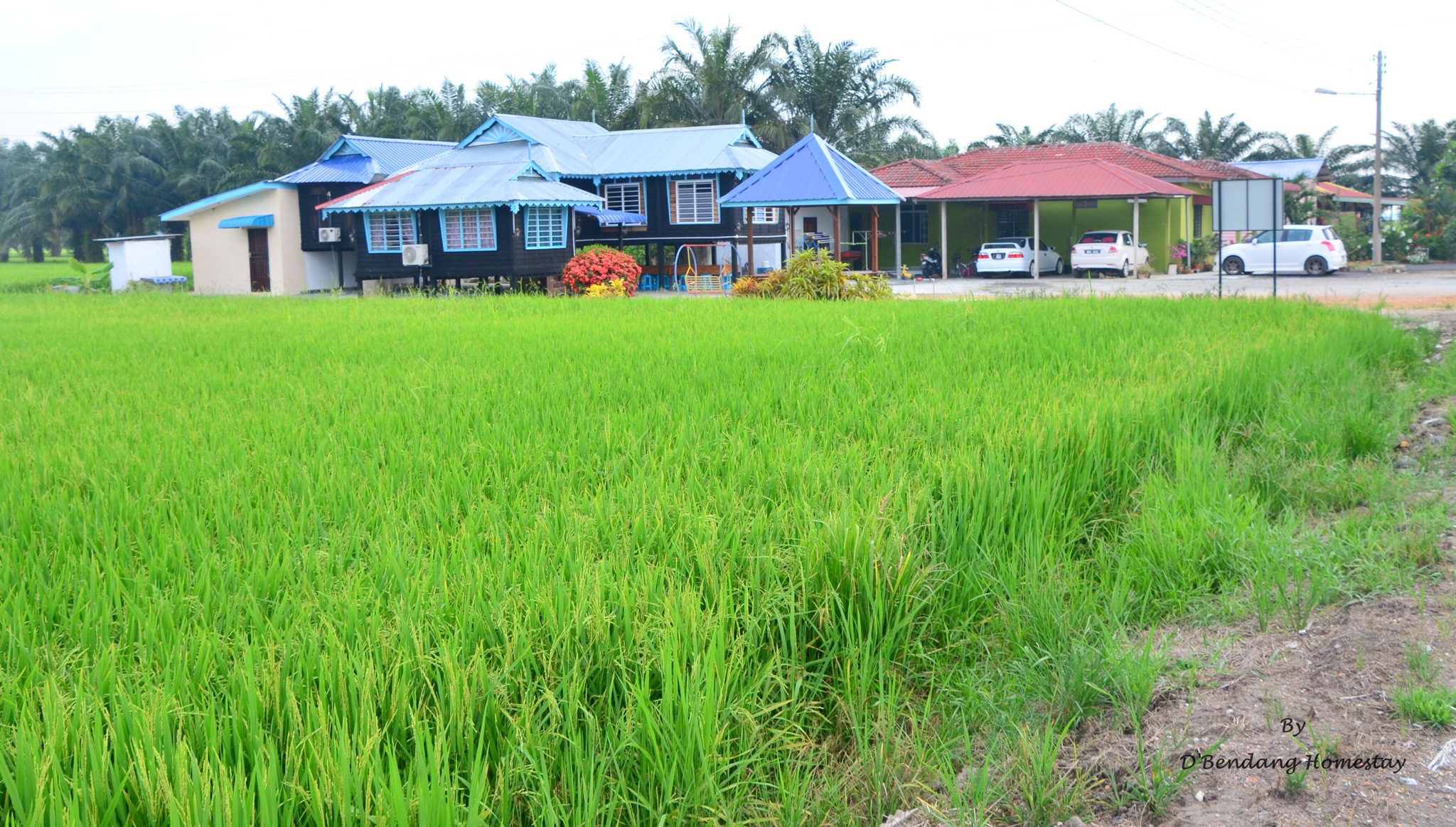 D Bendang Homestay Houses For Rent In Tanjong Karang Selangor Malaysia