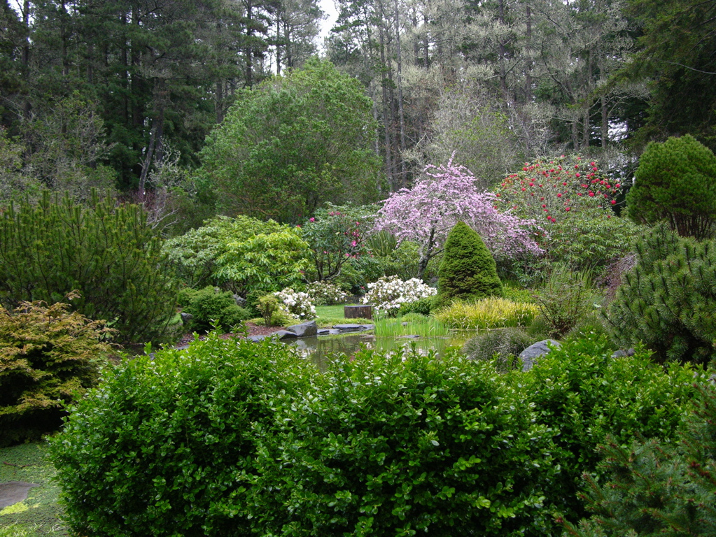 Garden Sanctuary near Fort Bragg Guest suites for Rent in Fort Bragg, California, United