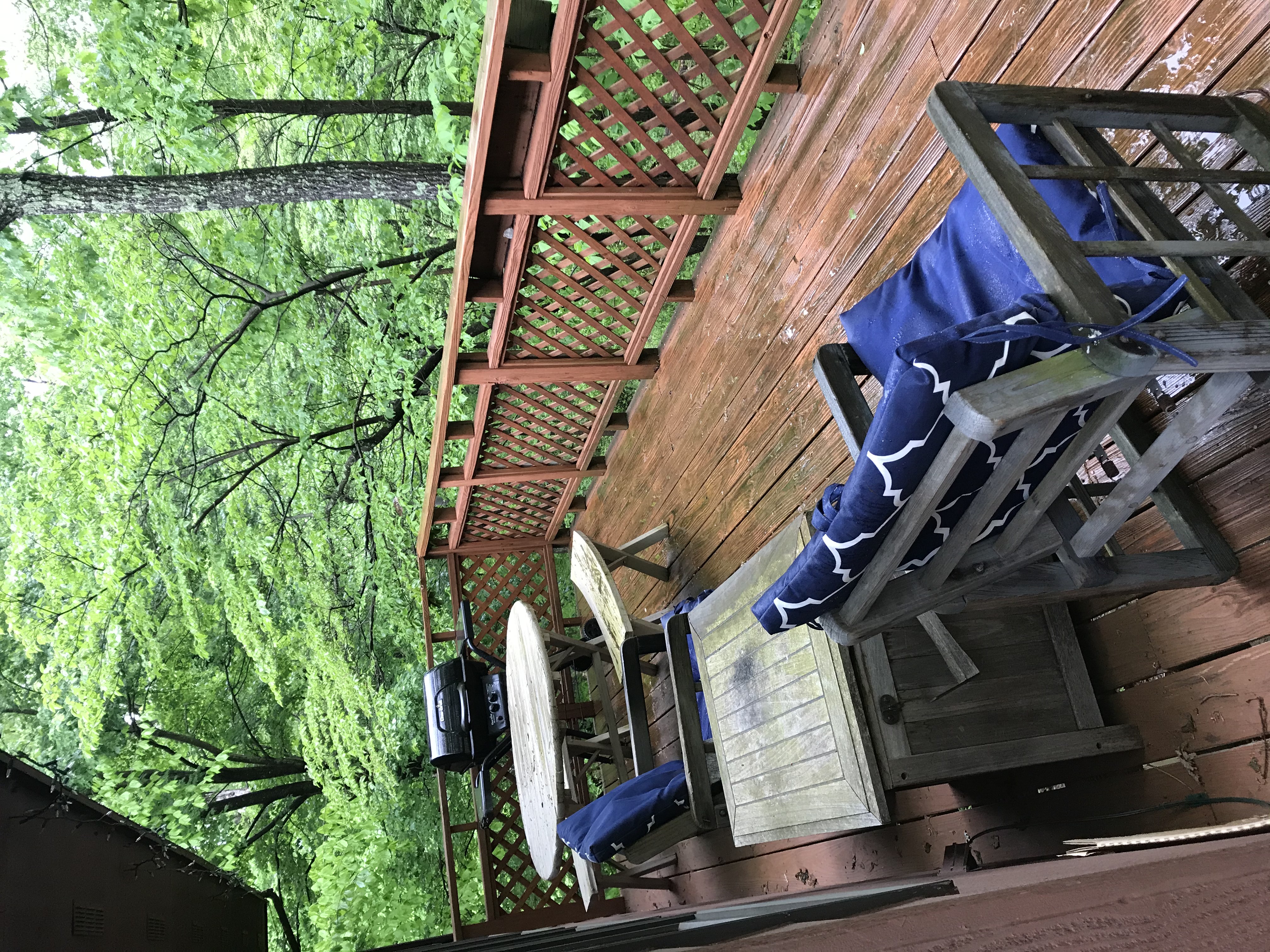 Treehouse Retreat With a View of National Forest