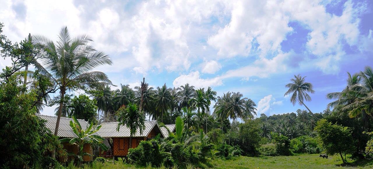 Jungle Garden Bungalows 11
