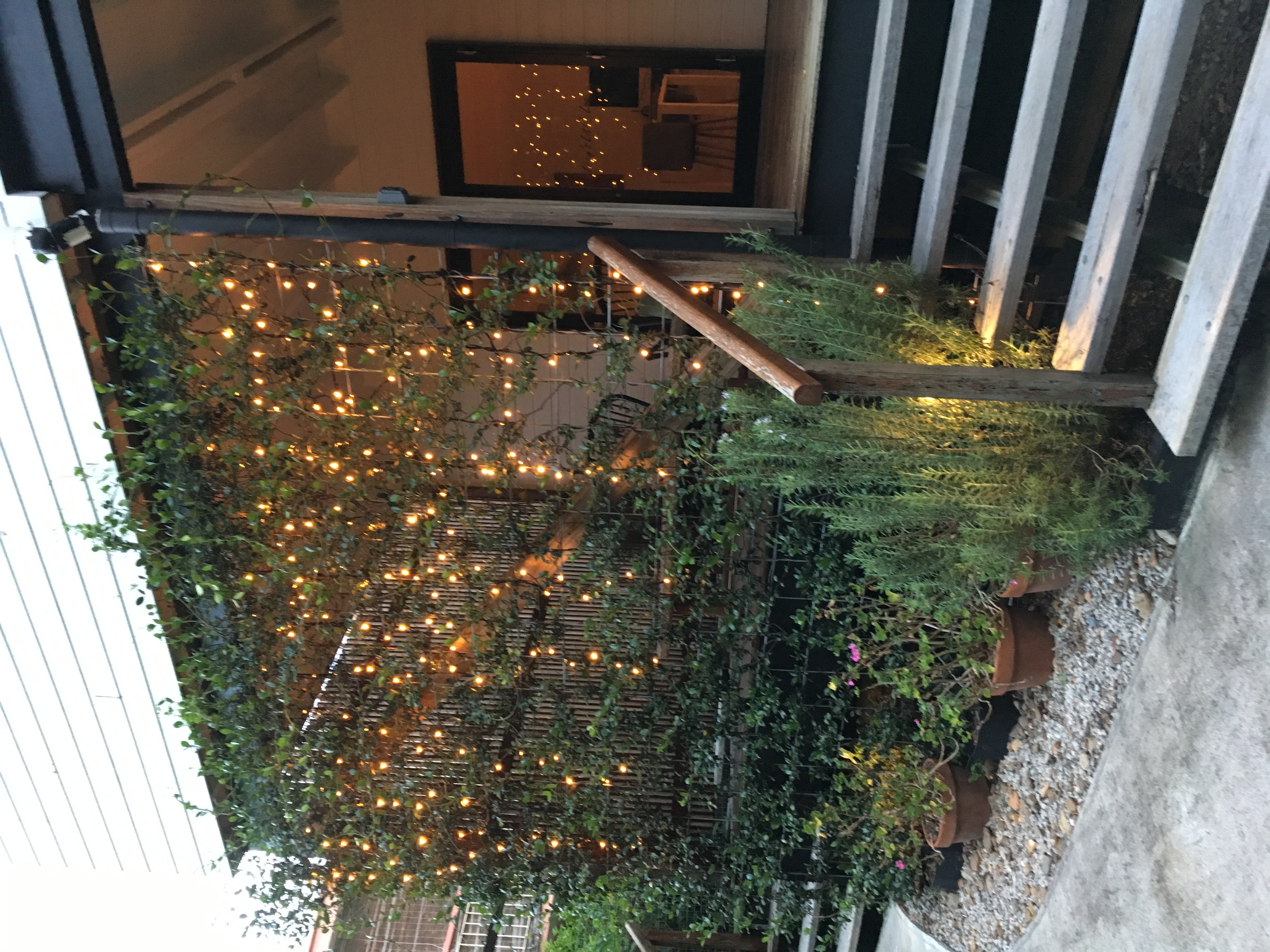 Lucy's - Private, Almost Hidden in the Green Space in West End, Brisbane