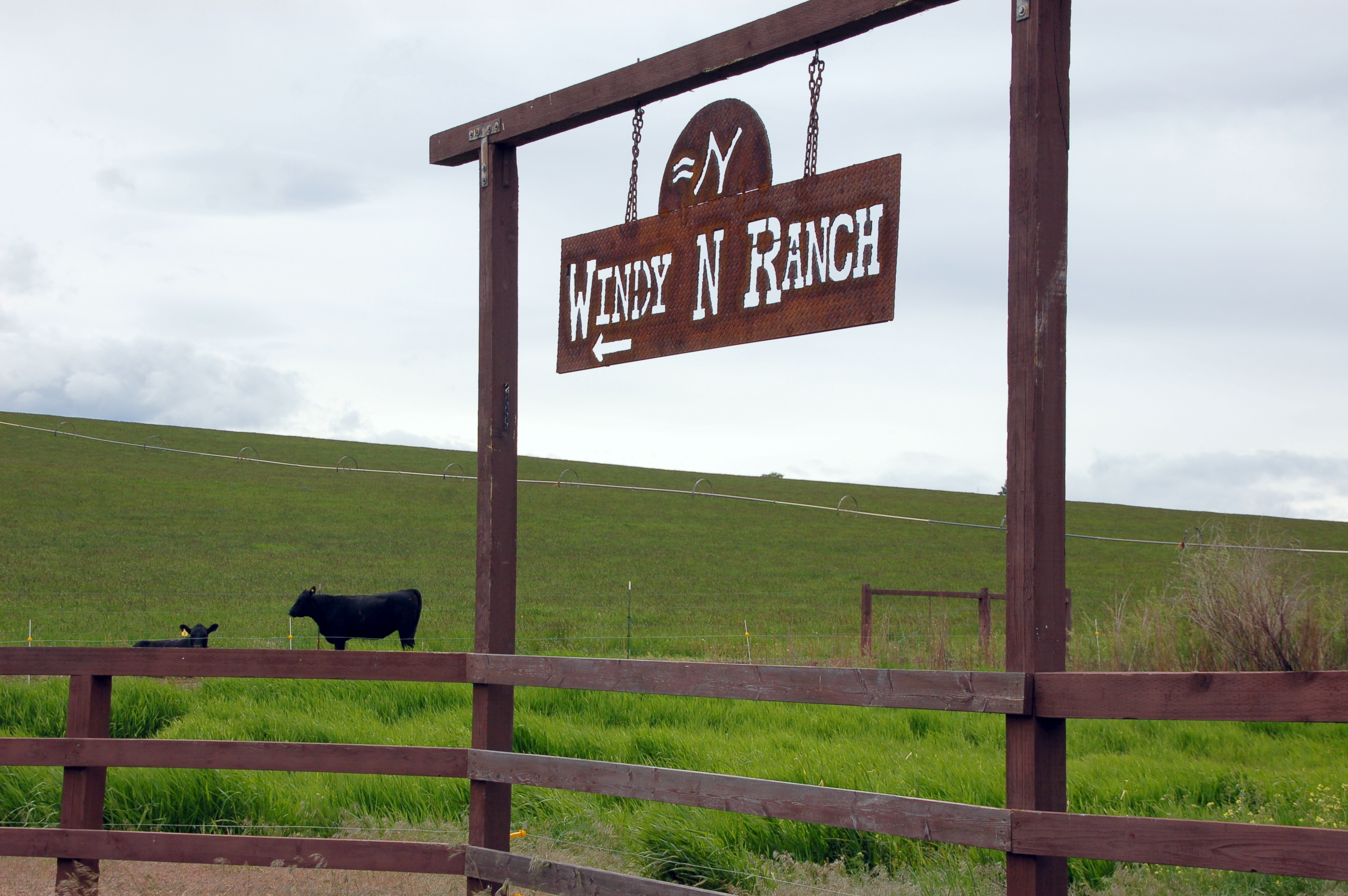 Stay in our studio on our ranch