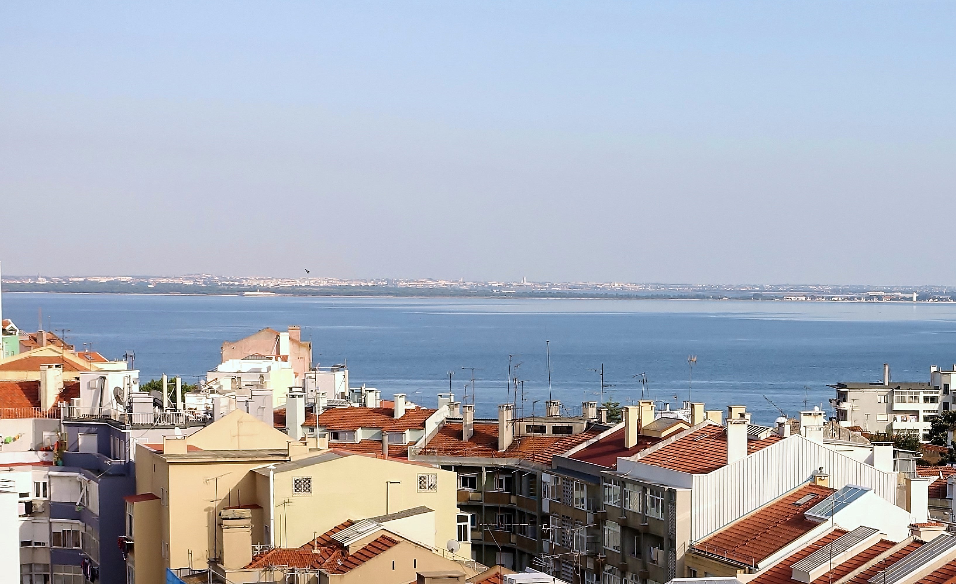 Seagull Tagus Flat, zona historica