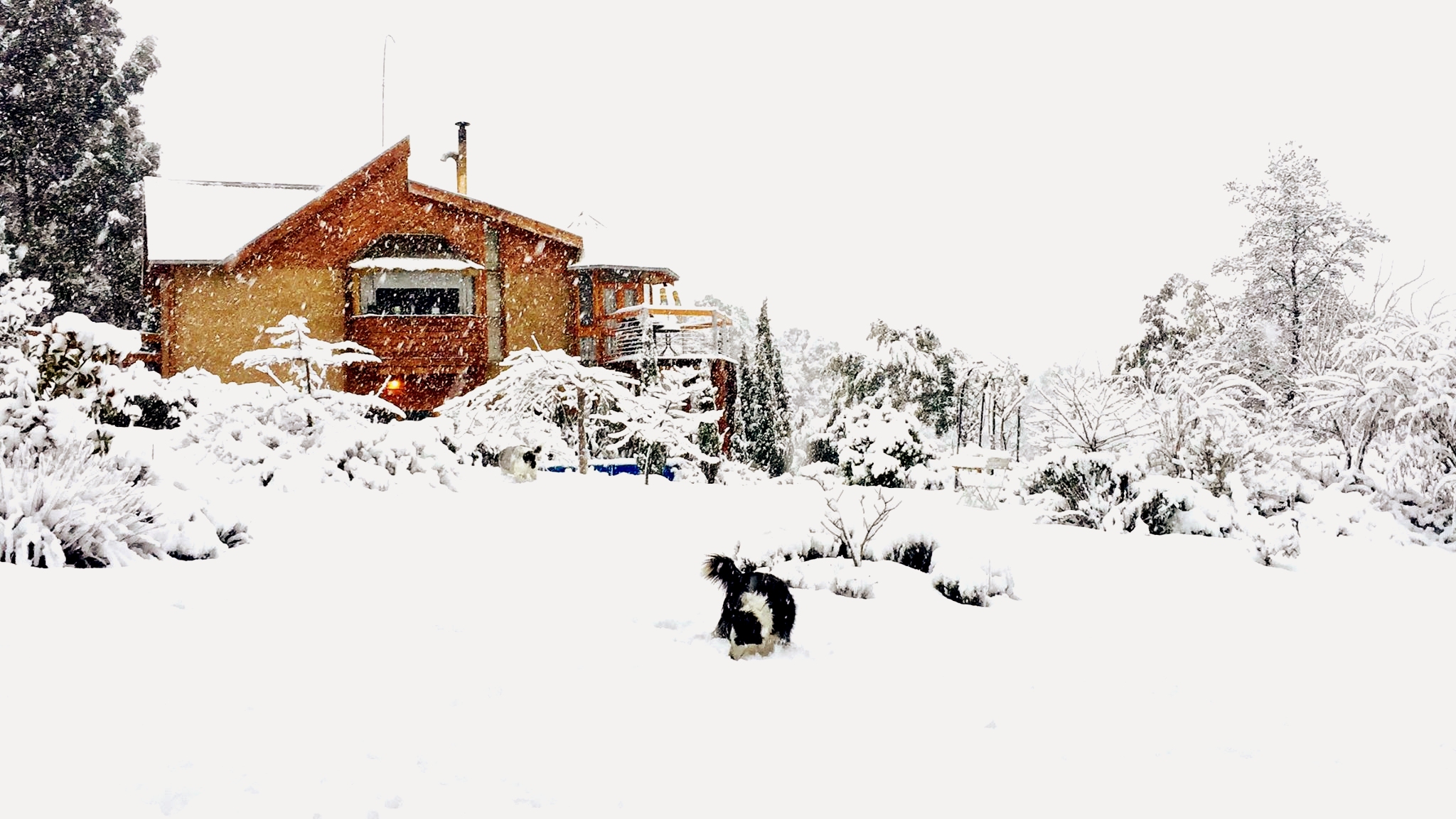 STUNNING HOME/AMAZING VIEW 20 mins to CBD/10MONA Earth houses for