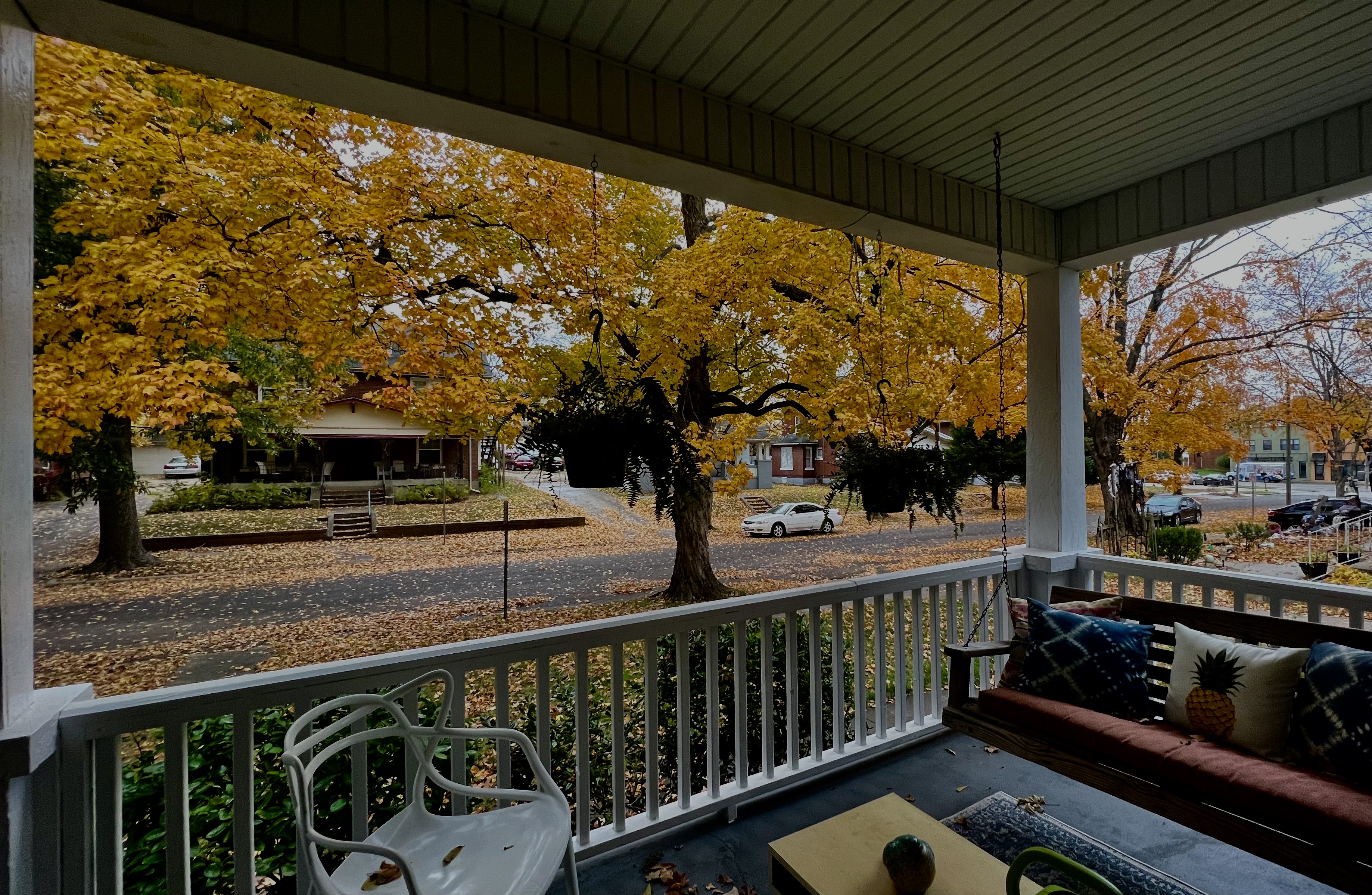 Beautiful Historic Boulevard District Apartment