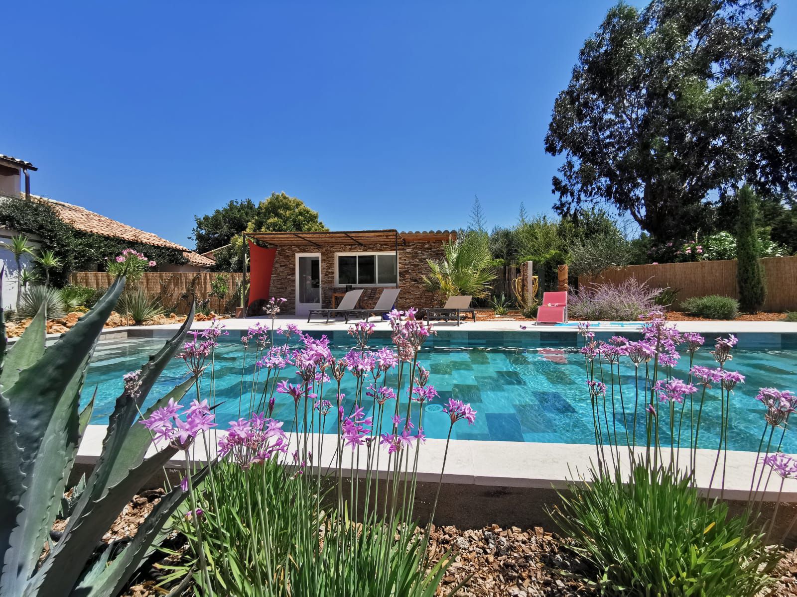 Charming studio with swimming pool