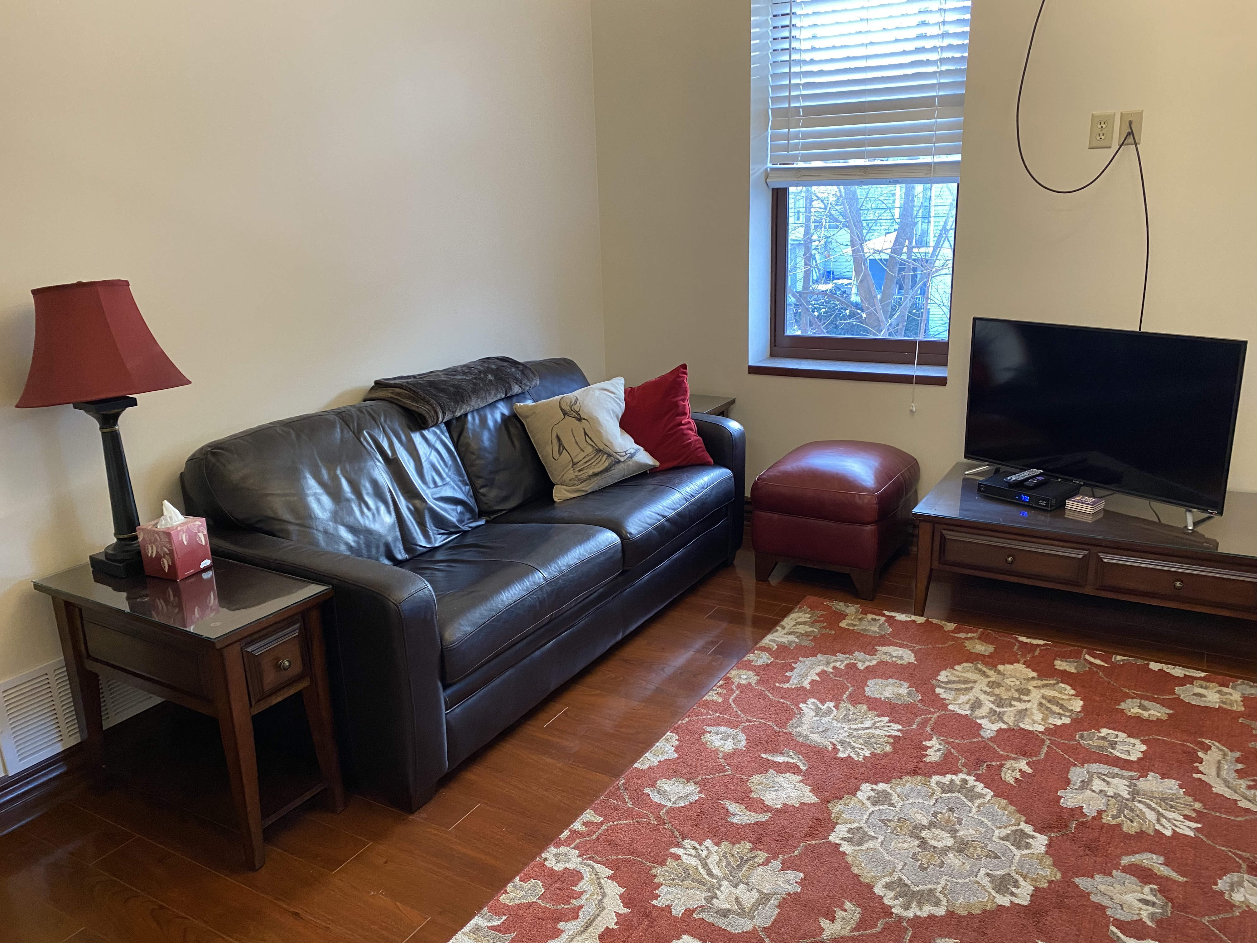 Professional Suite Apartment near BGH and BU