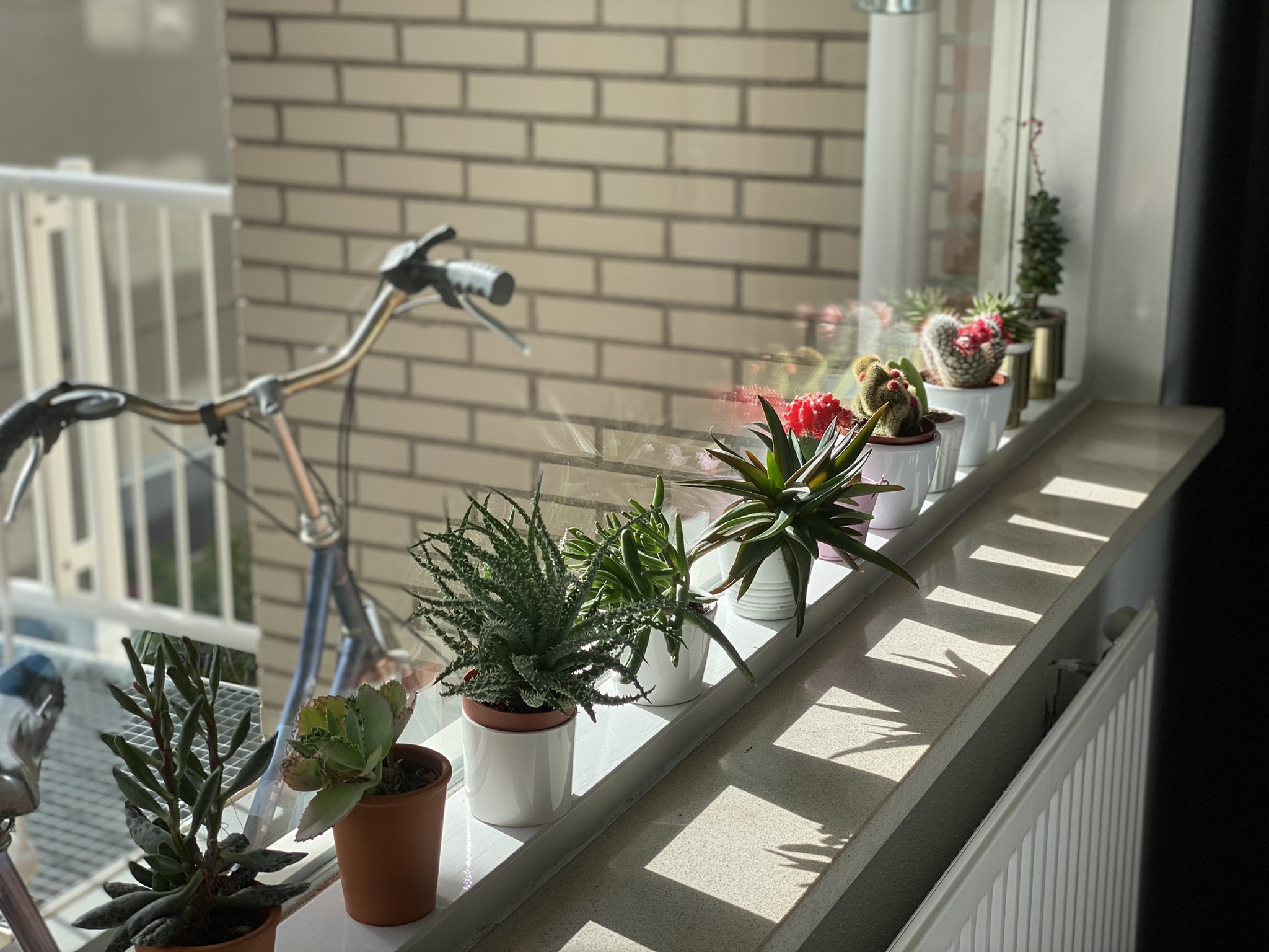 Cosy & quiet apartment in the heart of Rotterdam — Rotterdam stay