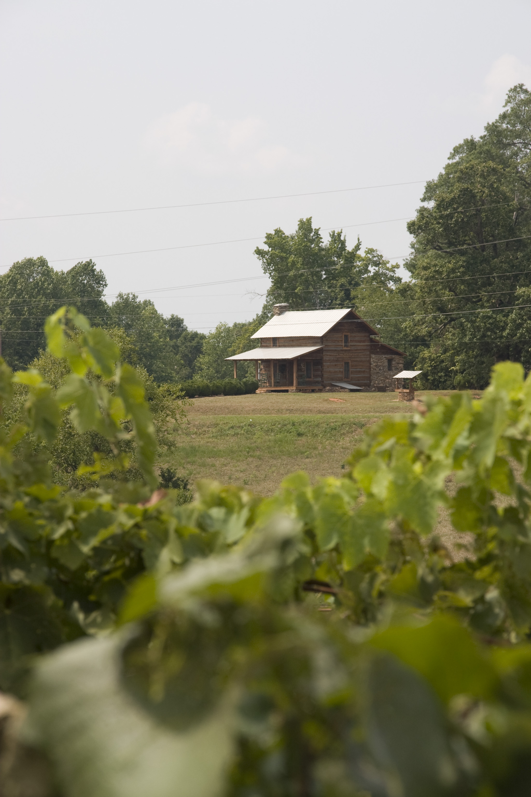 Stony Knoll Vineyards Wine Lodge Houses for Rent in Dobson, North