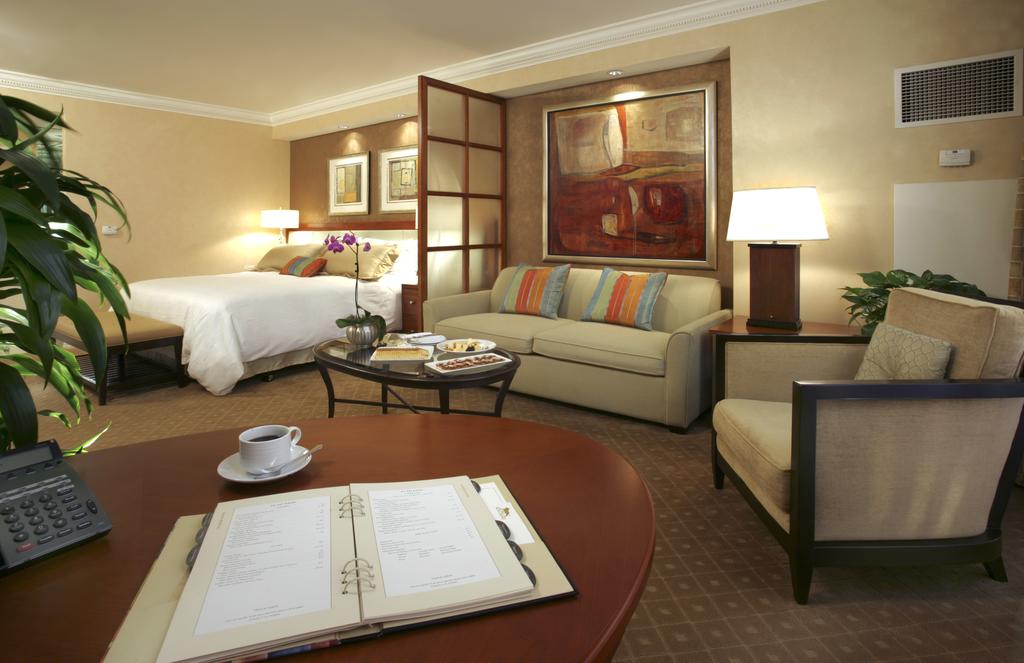 Mgm Grand Mini Suite